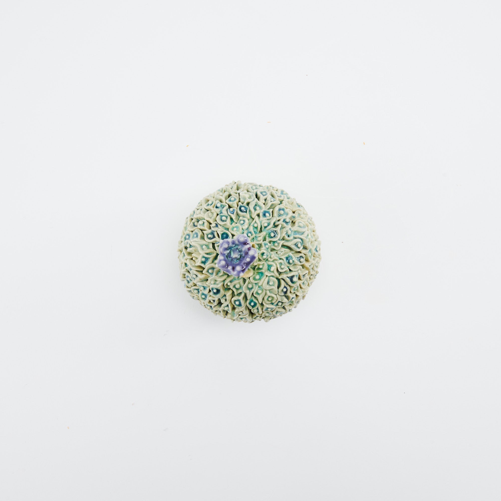 Botanical Textures Objet d'Art 15