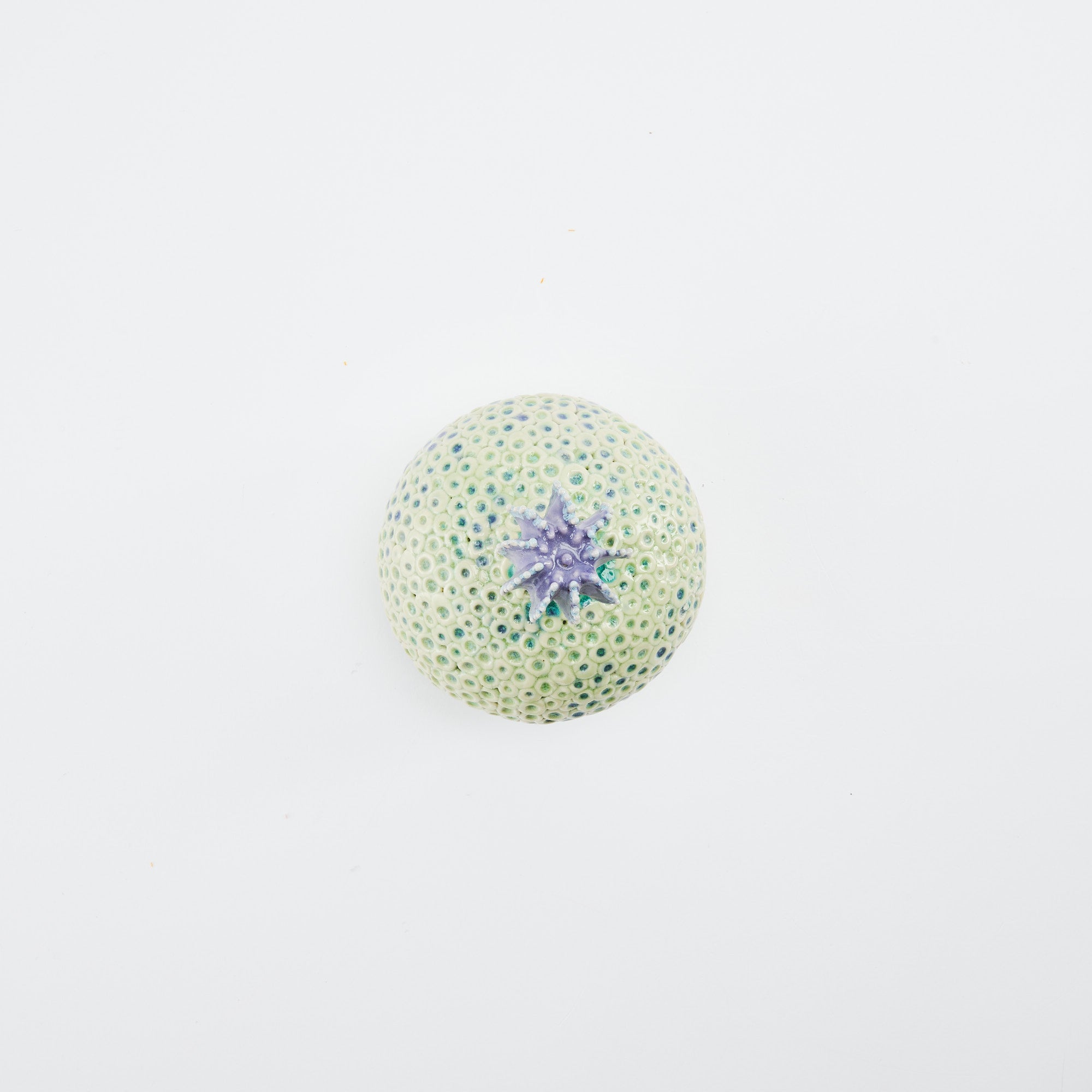 Botanical Textures Objet d'Art 14