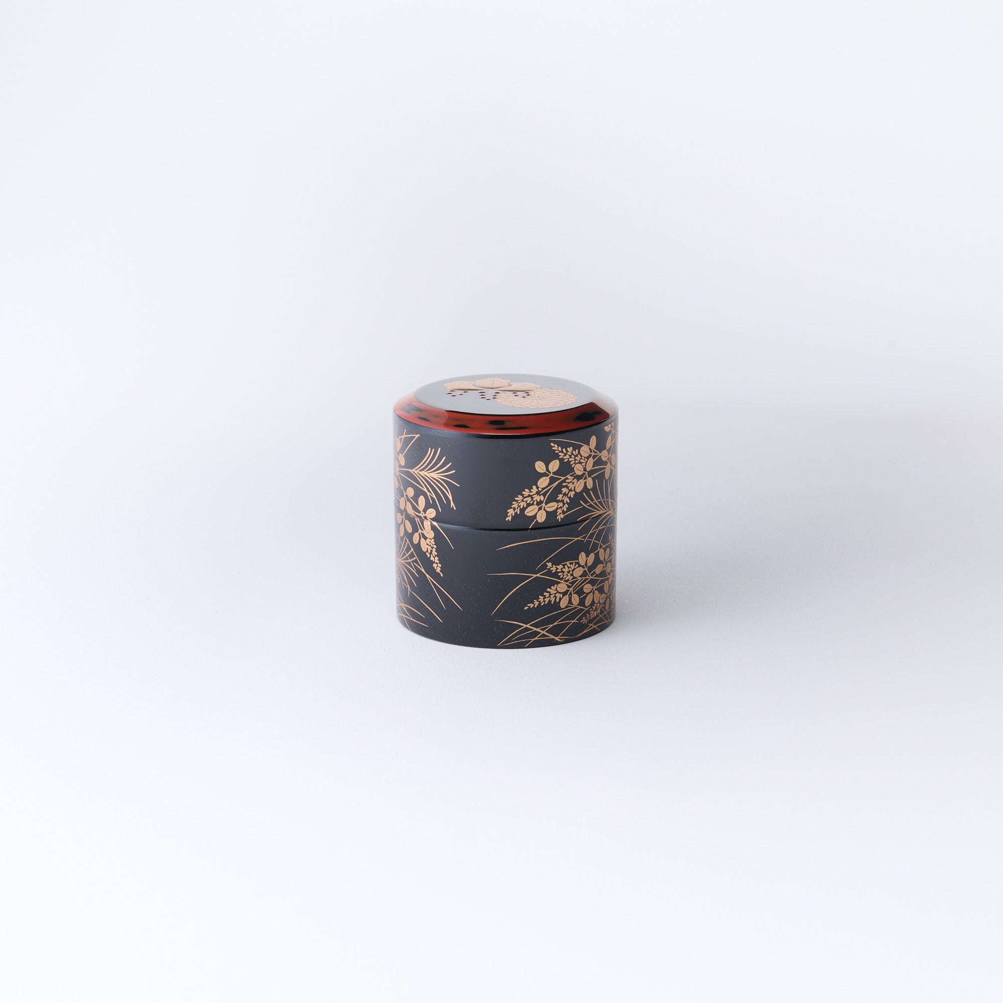 Golden Chrysanthemum and Paulownia Nakatsugi Matcha Container