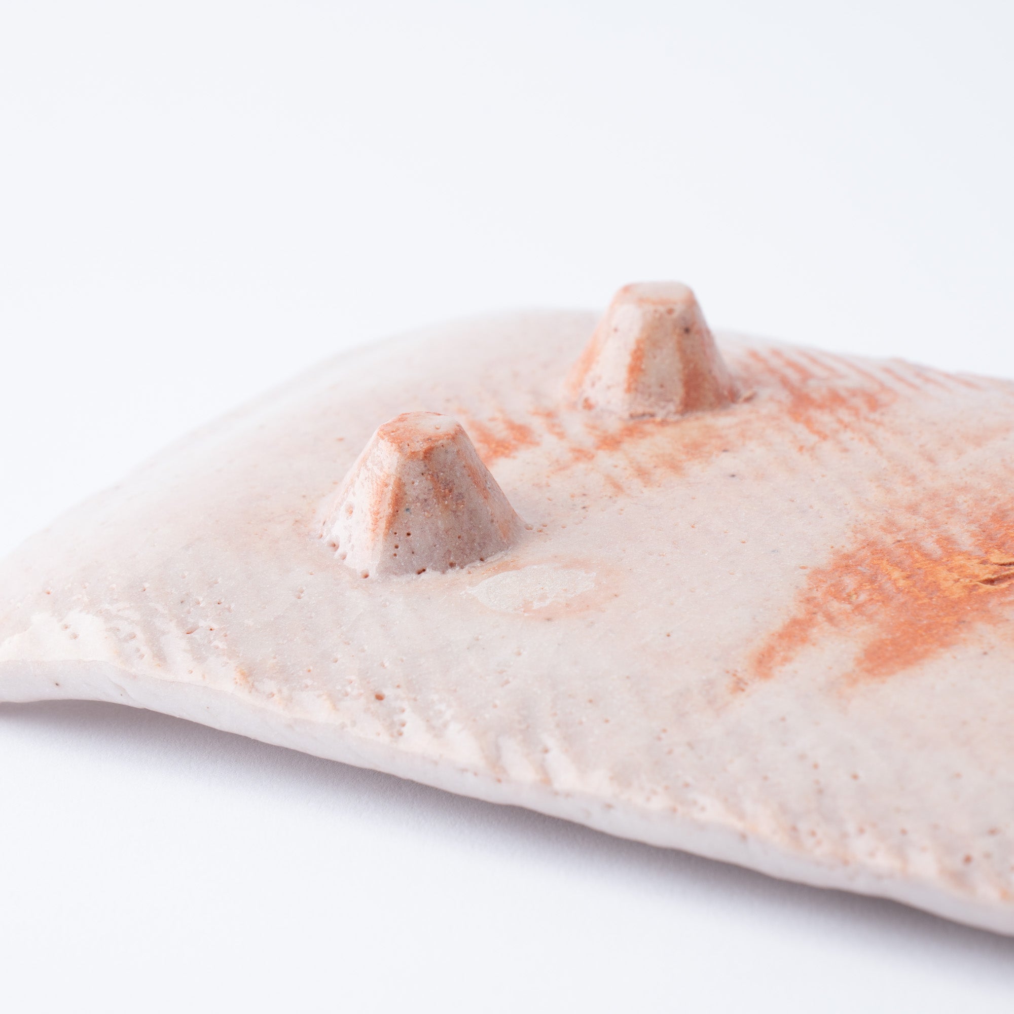 Shino Blush Footed Rectangle Dinner Plate