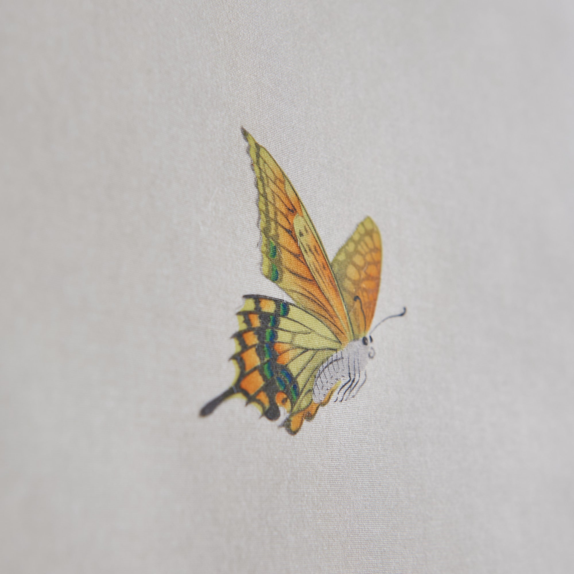 Cat and Butterfly Kakejiku Hanging Scroll