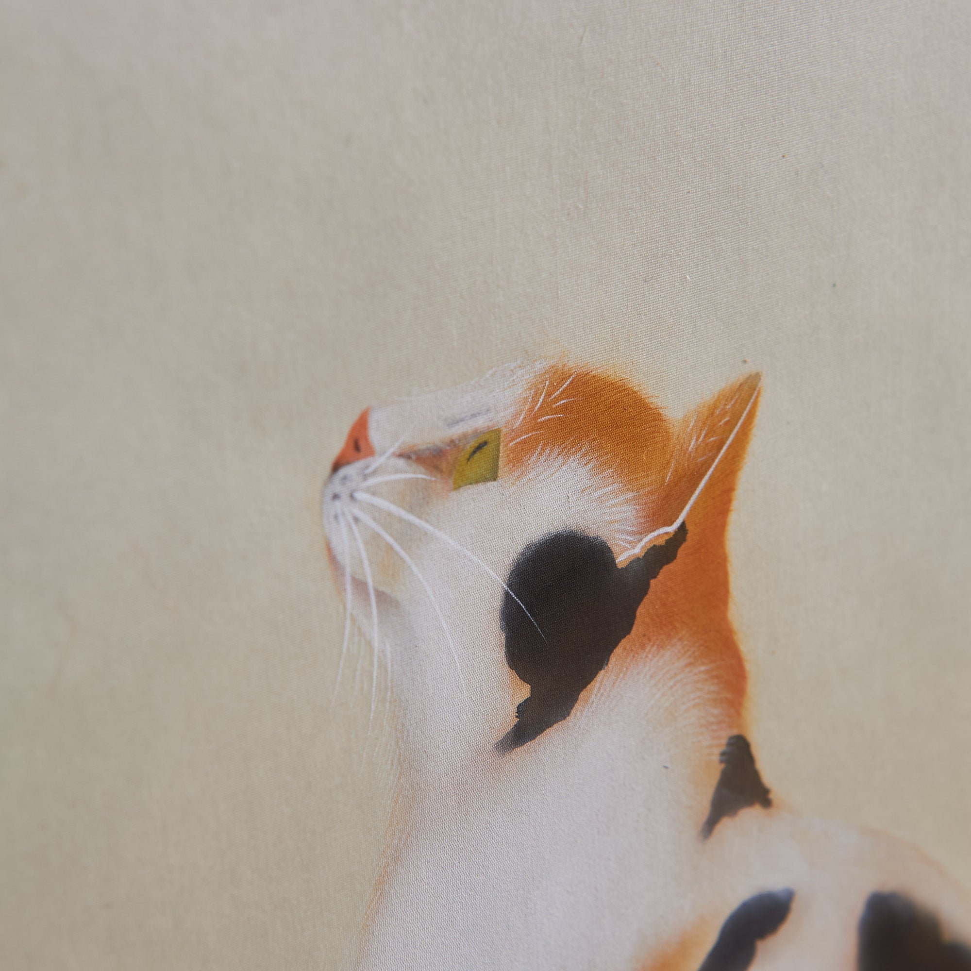 Cat and Butterfly Kakejiku Hanging Scroll