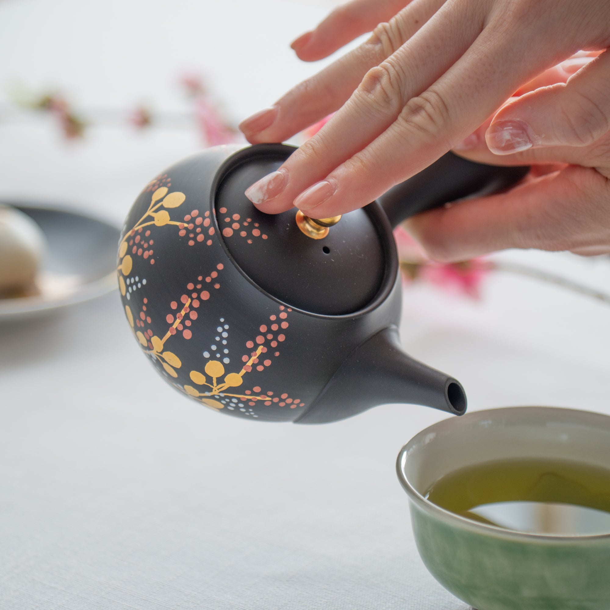 Black Clay Bush Clover Japanese Teapot