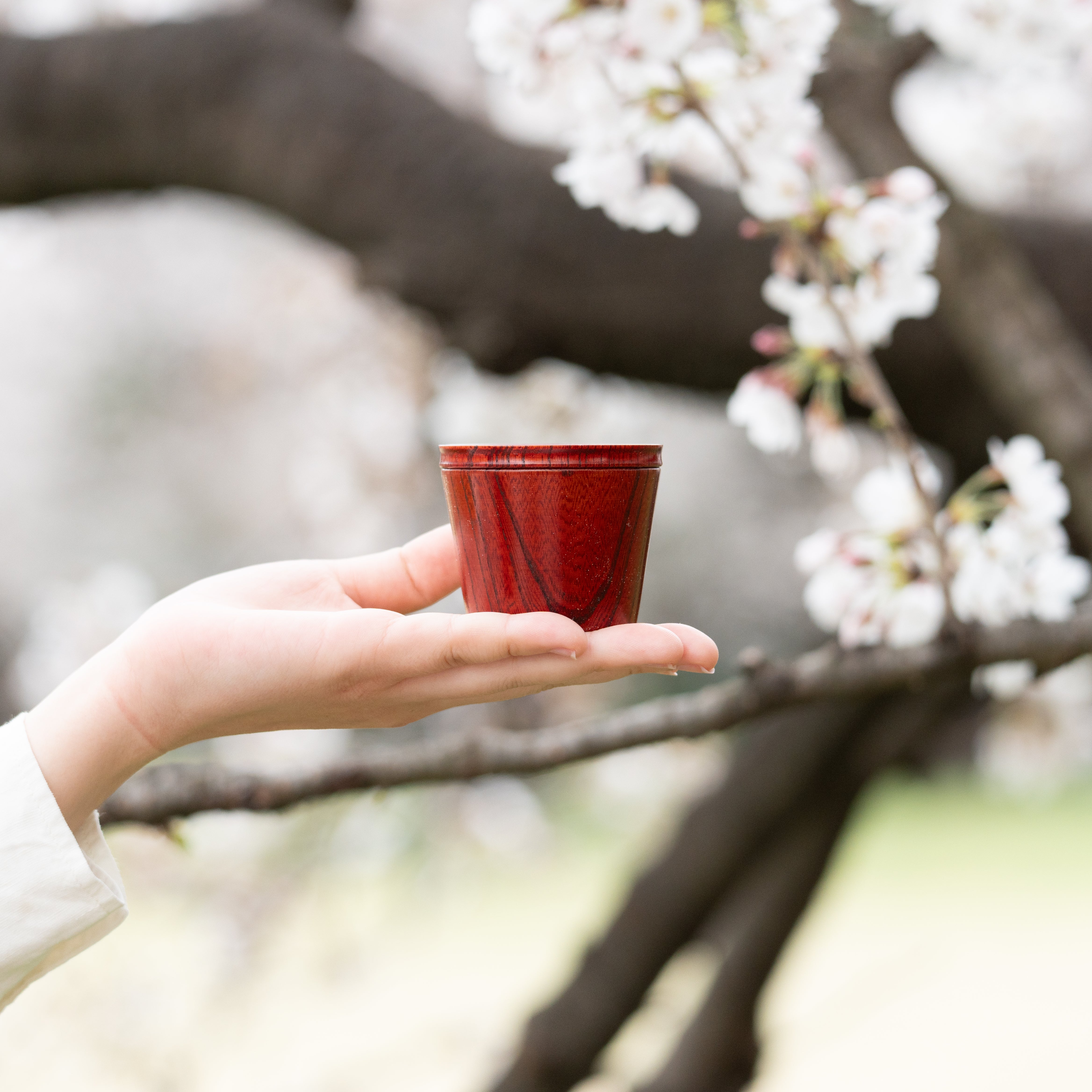 Travel Zelkova Yamanaka Lacquerware Guinomi Sake Cup Set