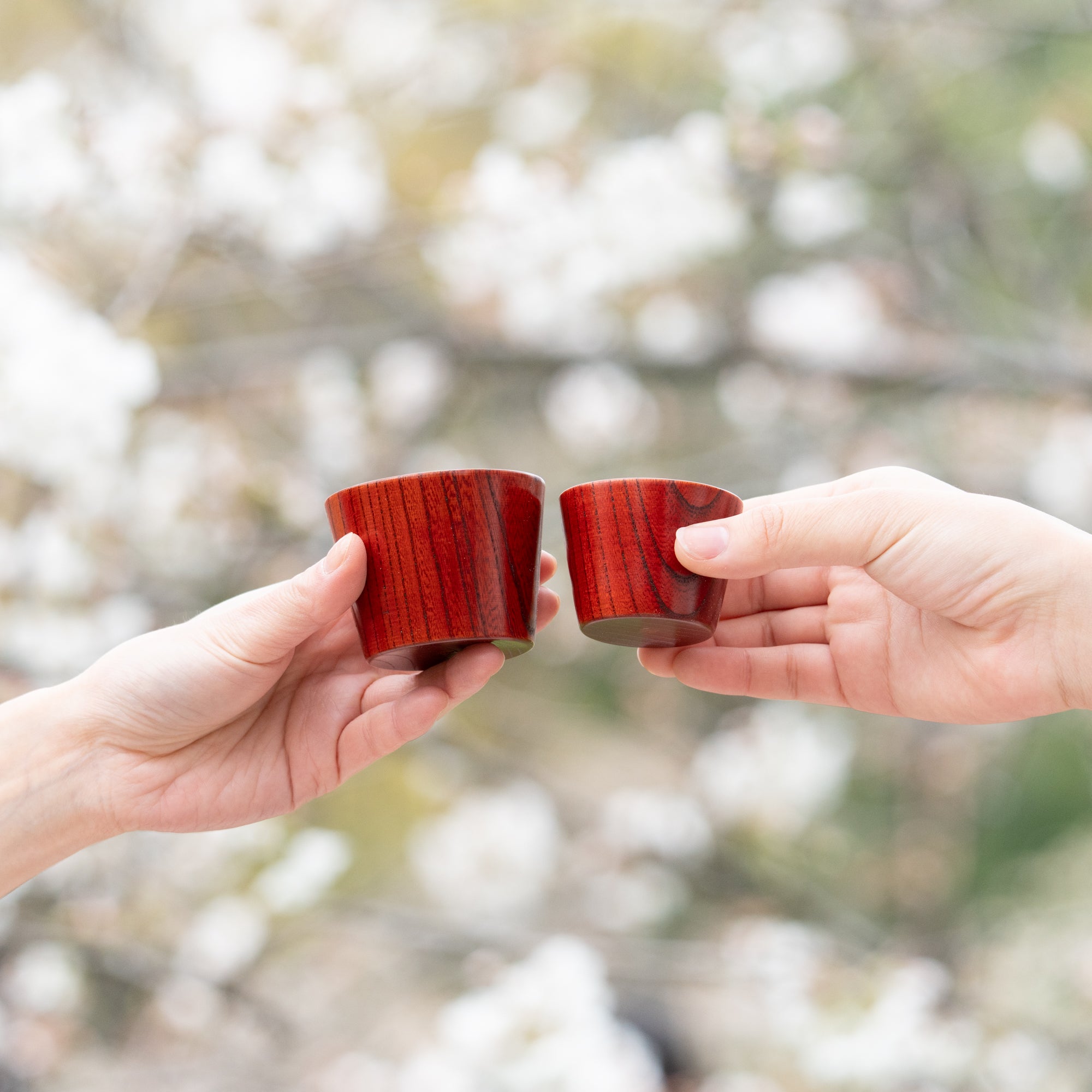 Travel Zelkova Yamanaka Lacquerware Guinomi Sake Cup Set