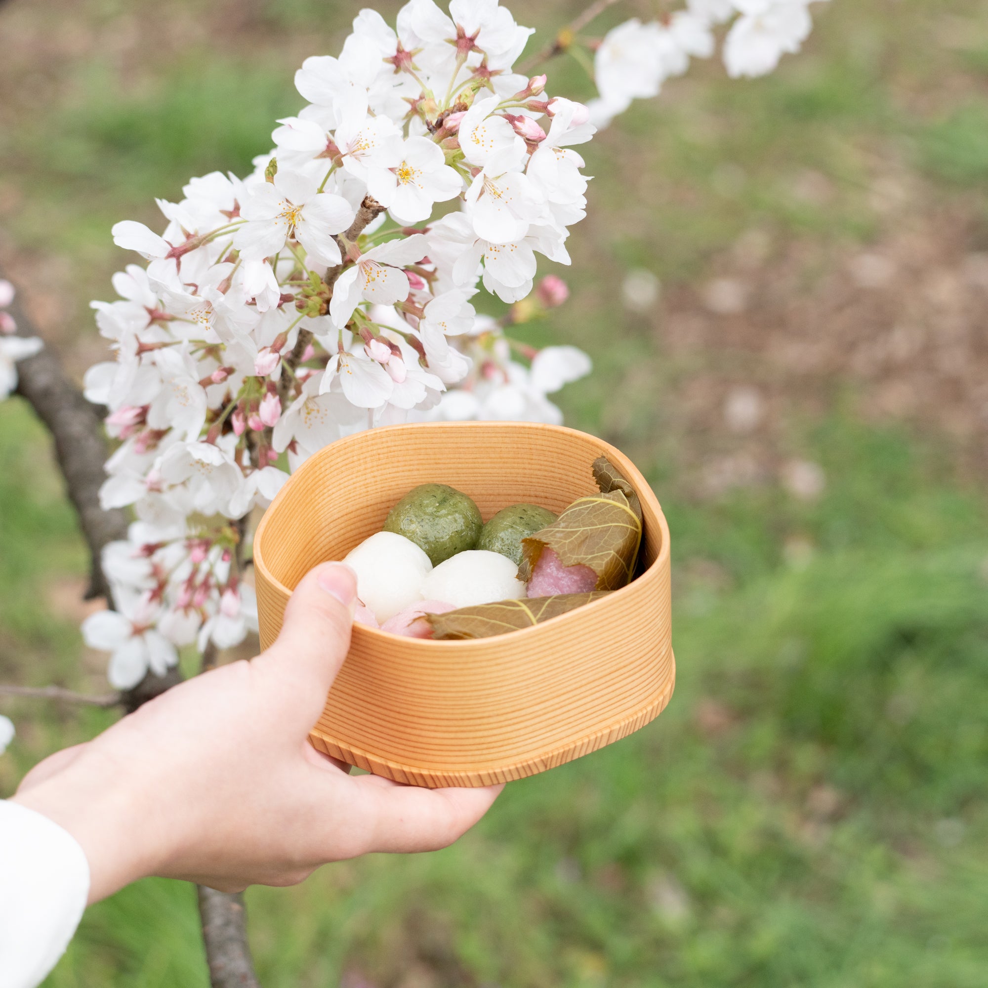 Wood‑grain Plum Blossom Shaped Bento Box