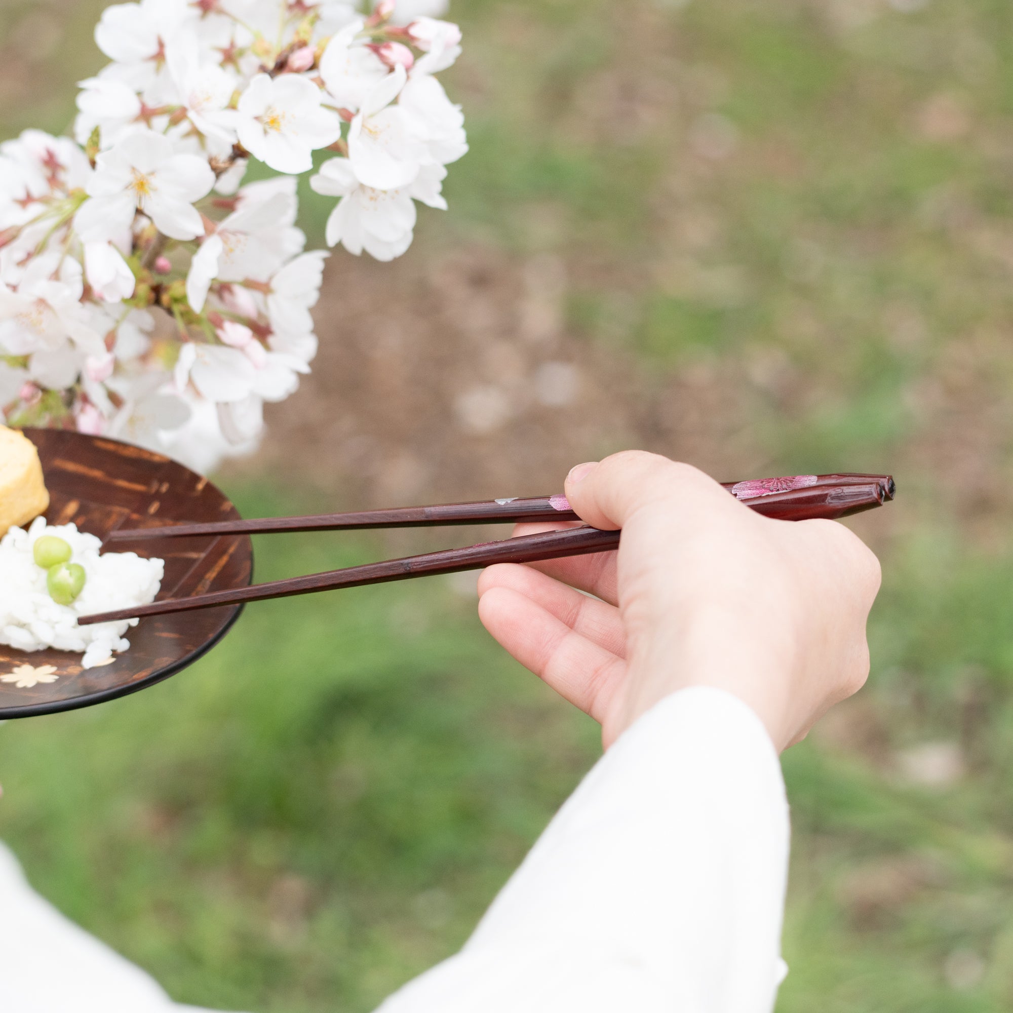 Sakura Colors Chopsticks
