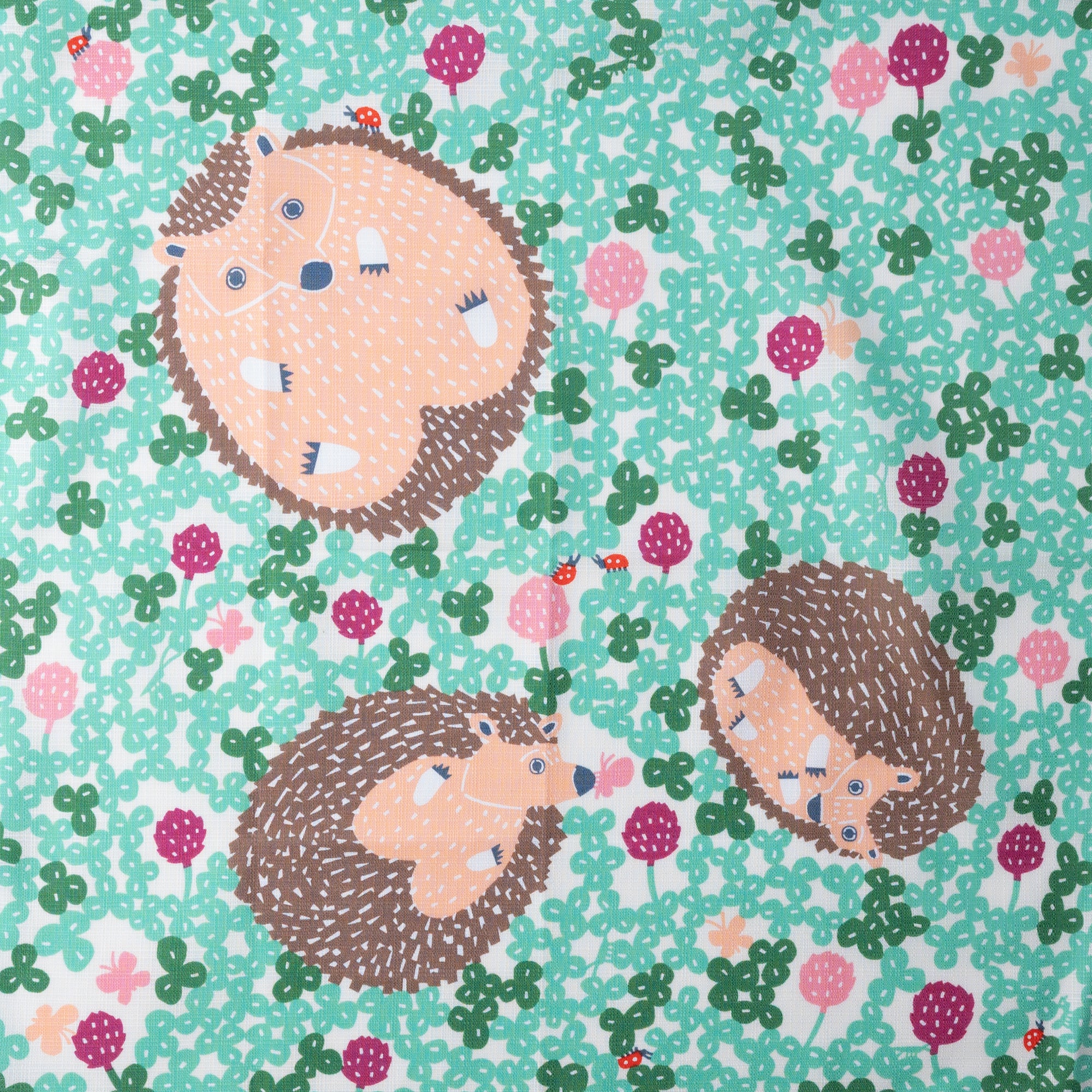 Hedgehog Organic Cotton Furoshiki 19.7 in