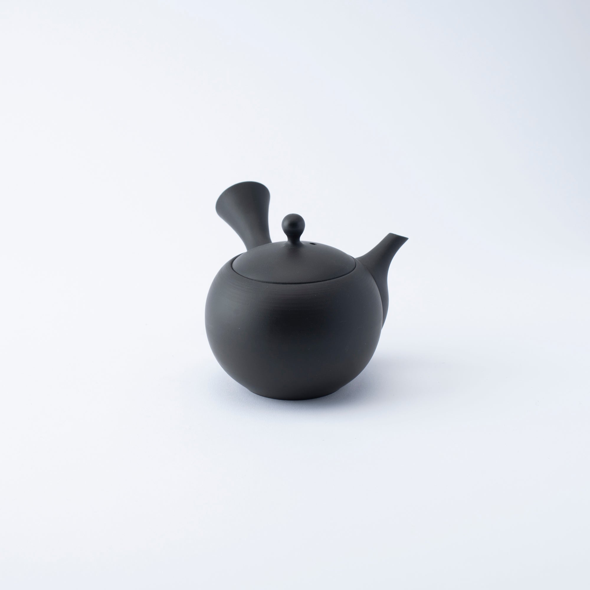 IROIRO Japanese Teapot