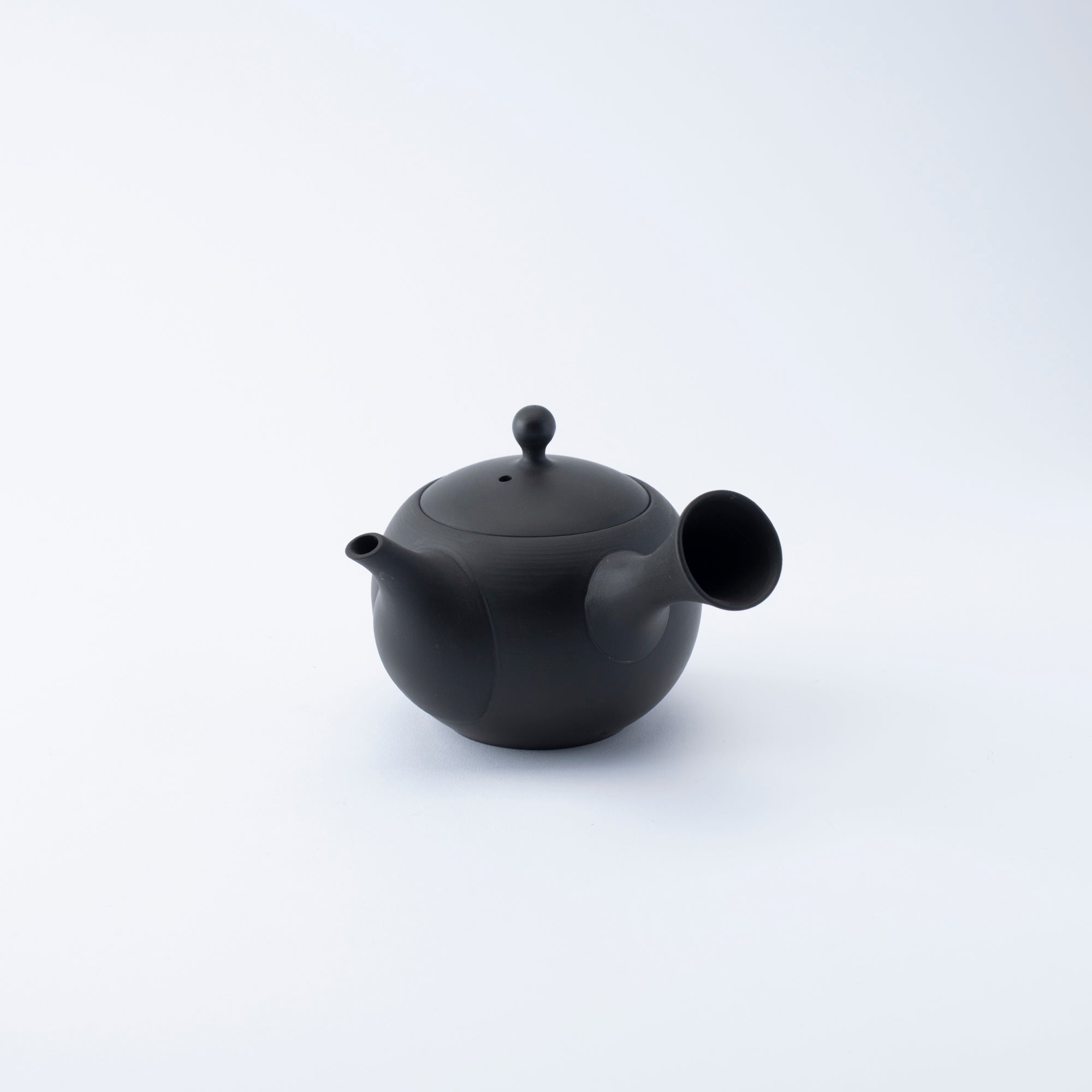 IROIRO Japanese Teapot