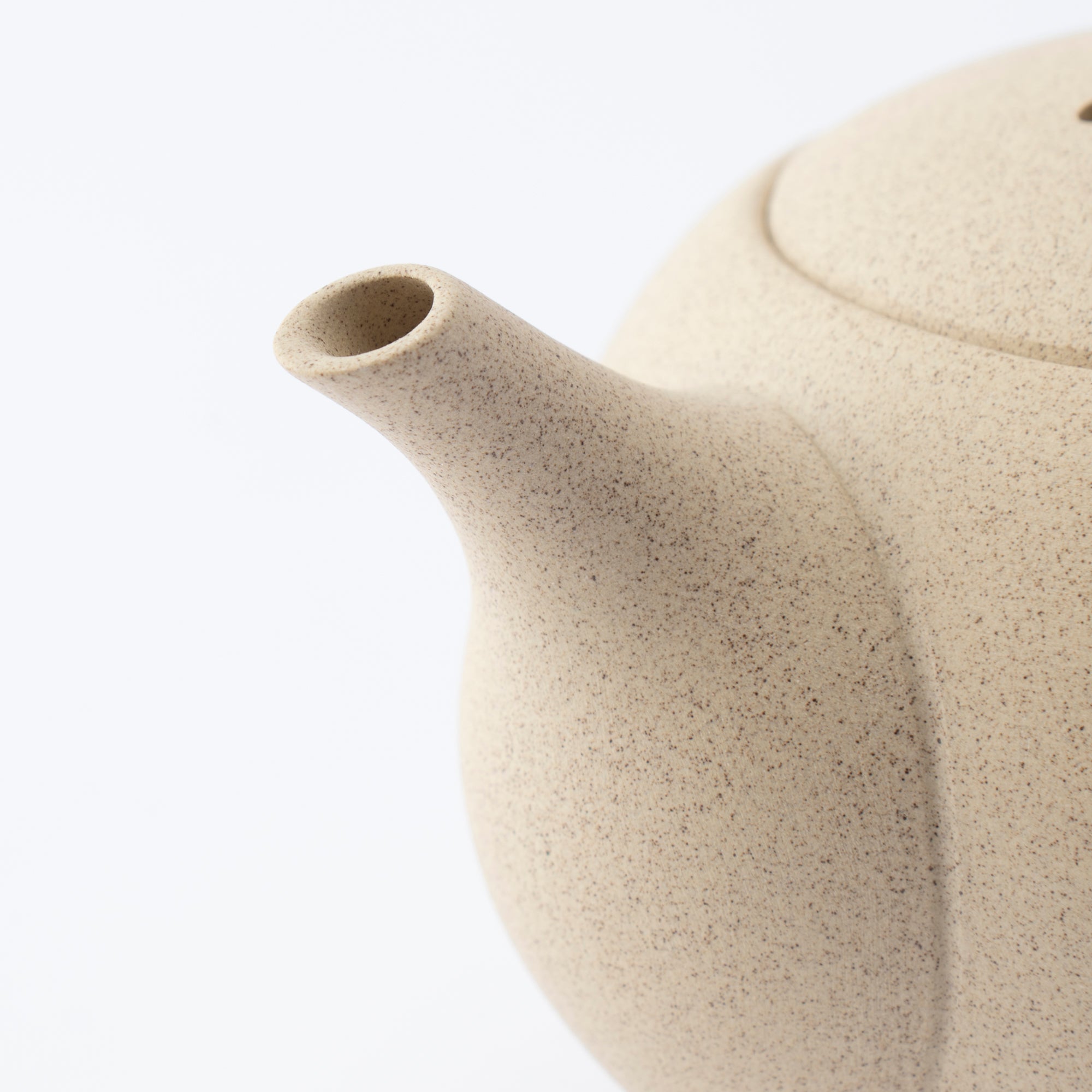 IROIRO Japanese Teapot