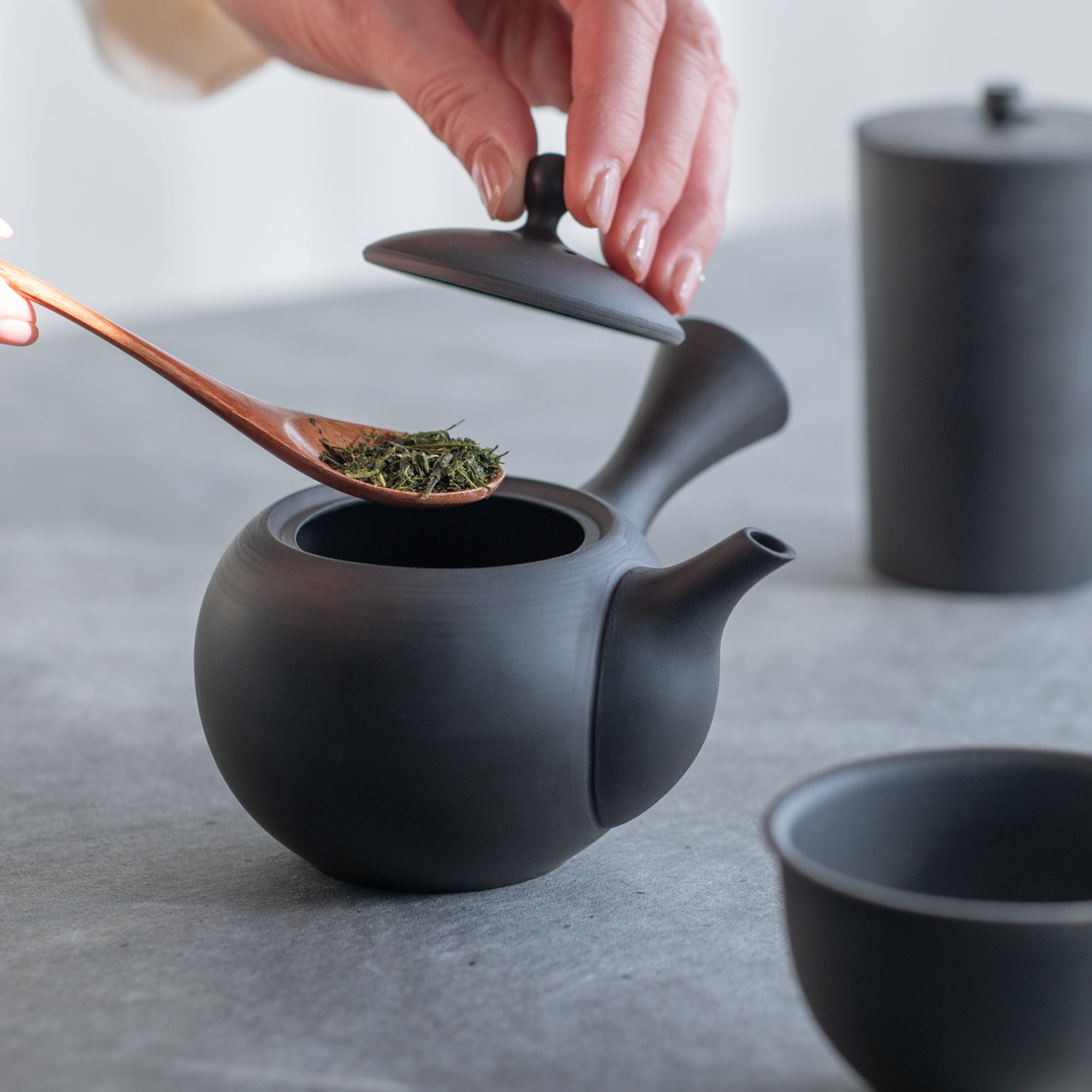 IROIRO Japanese Teapot