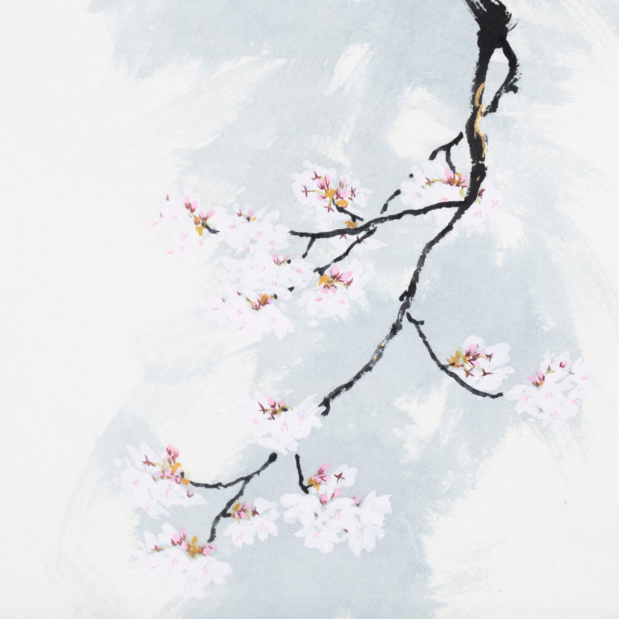 Cat and Sakura Kakejiku Hanging Scroll