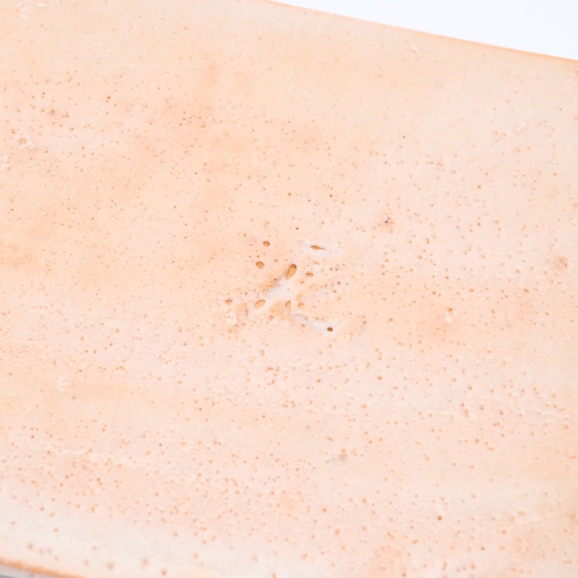 Shino Blush Flat Rectangular Dinner Plate