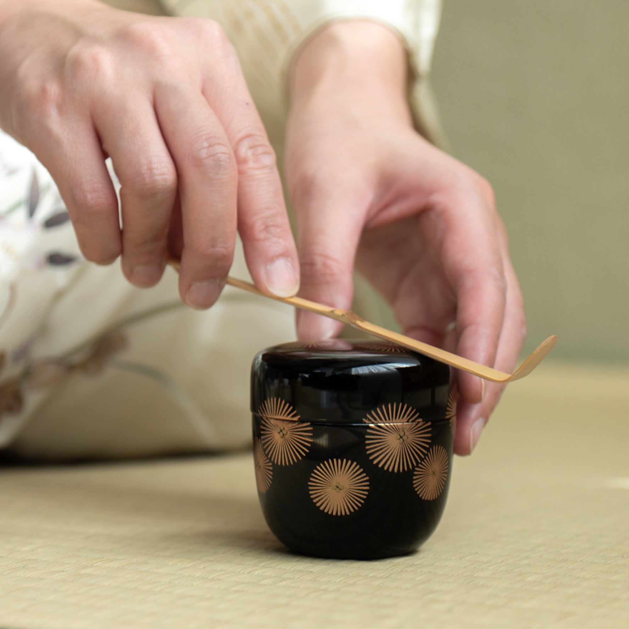 Golden Larch Tree Chu-Natsume Matcha Container