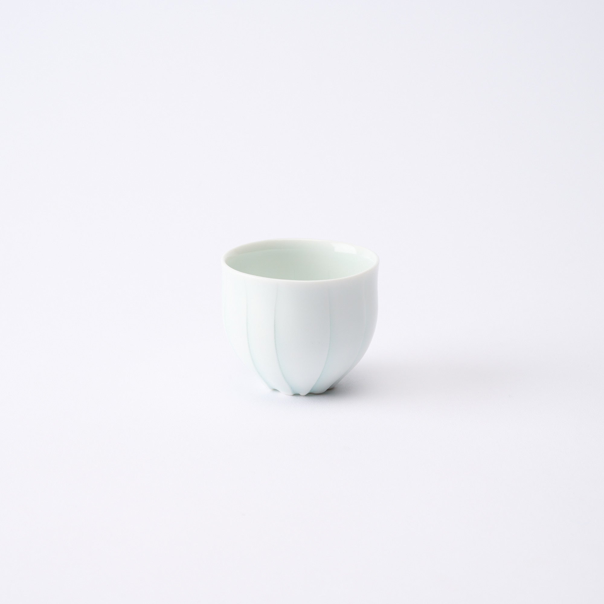 Fluctuation Sake Set