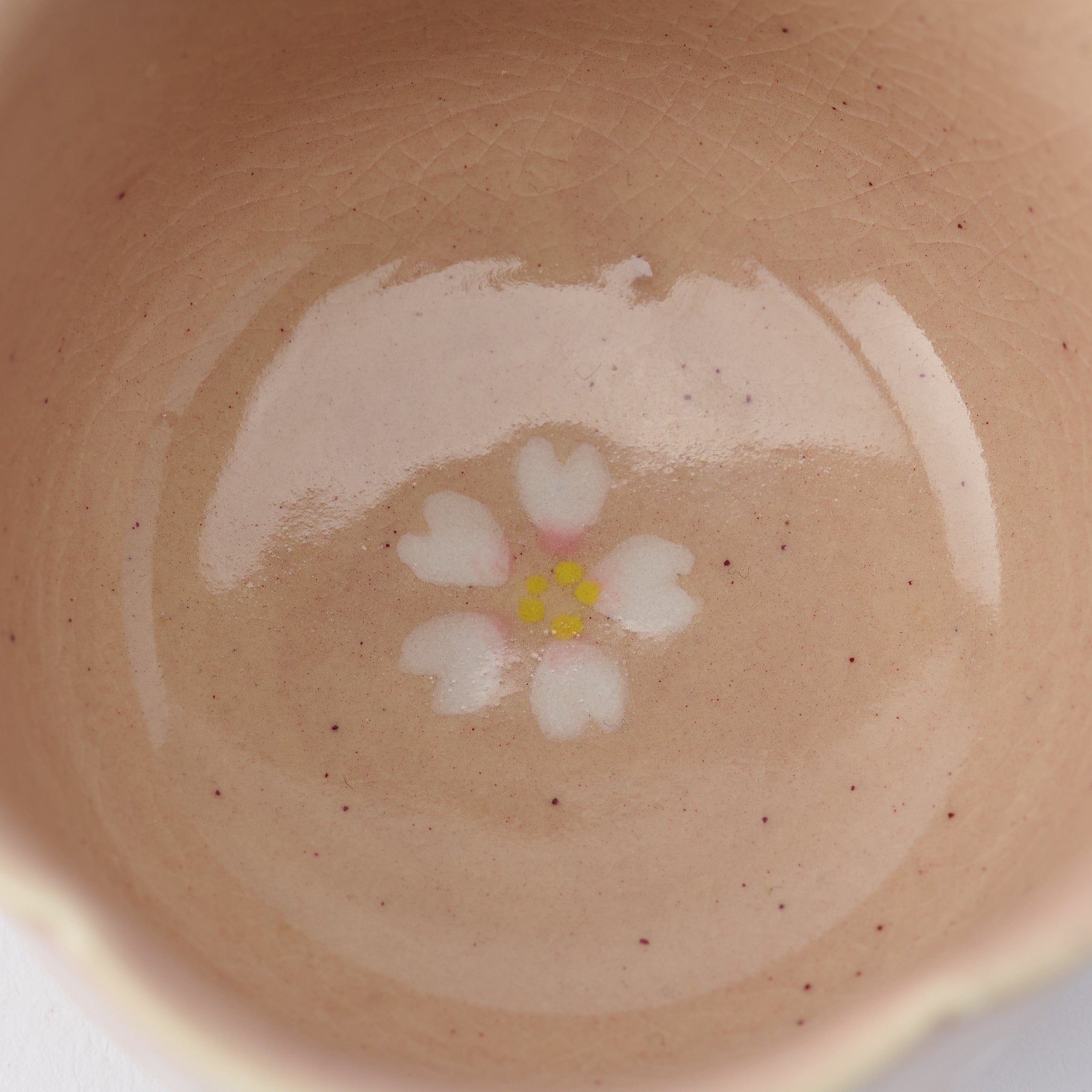 Floating Sakura Japanese Teacup