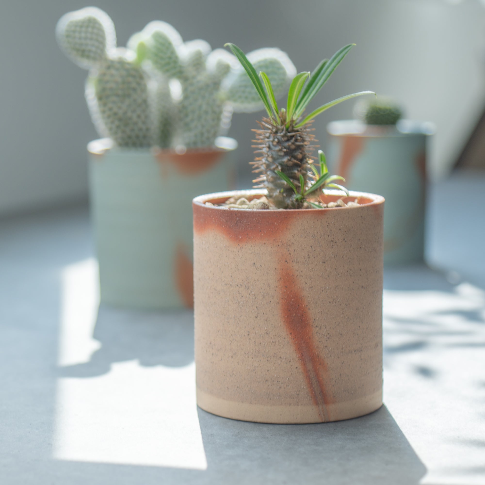 Hidasuki Plant Pot 3.5 In