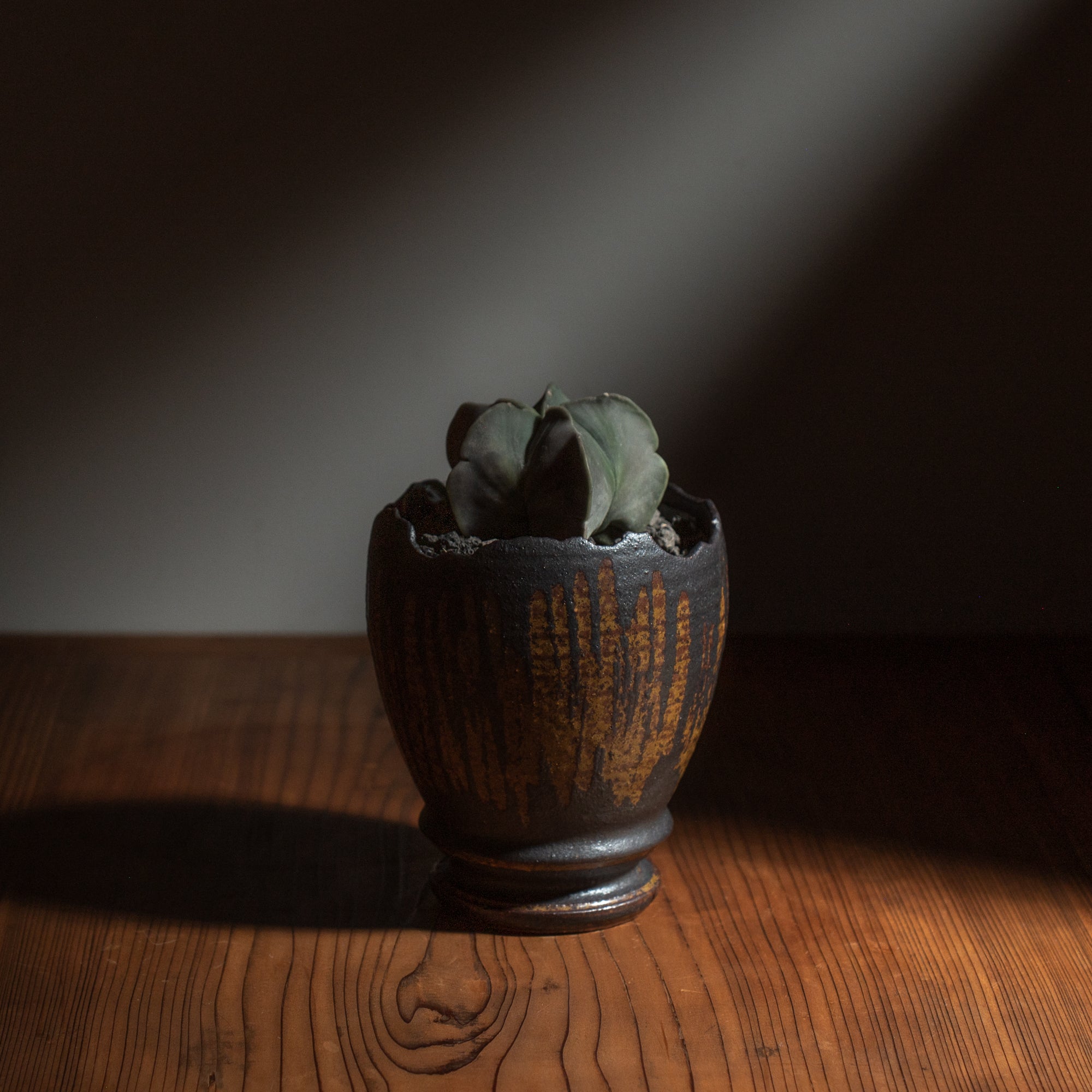 Chalaza Cracked Rim Brown Inlay on Black Plant Pot 3.7 In