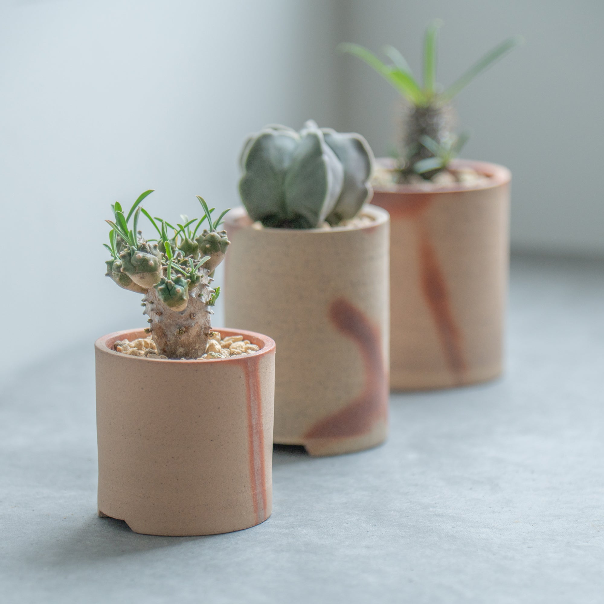 Hidasuki Short Plant Pot 3 In