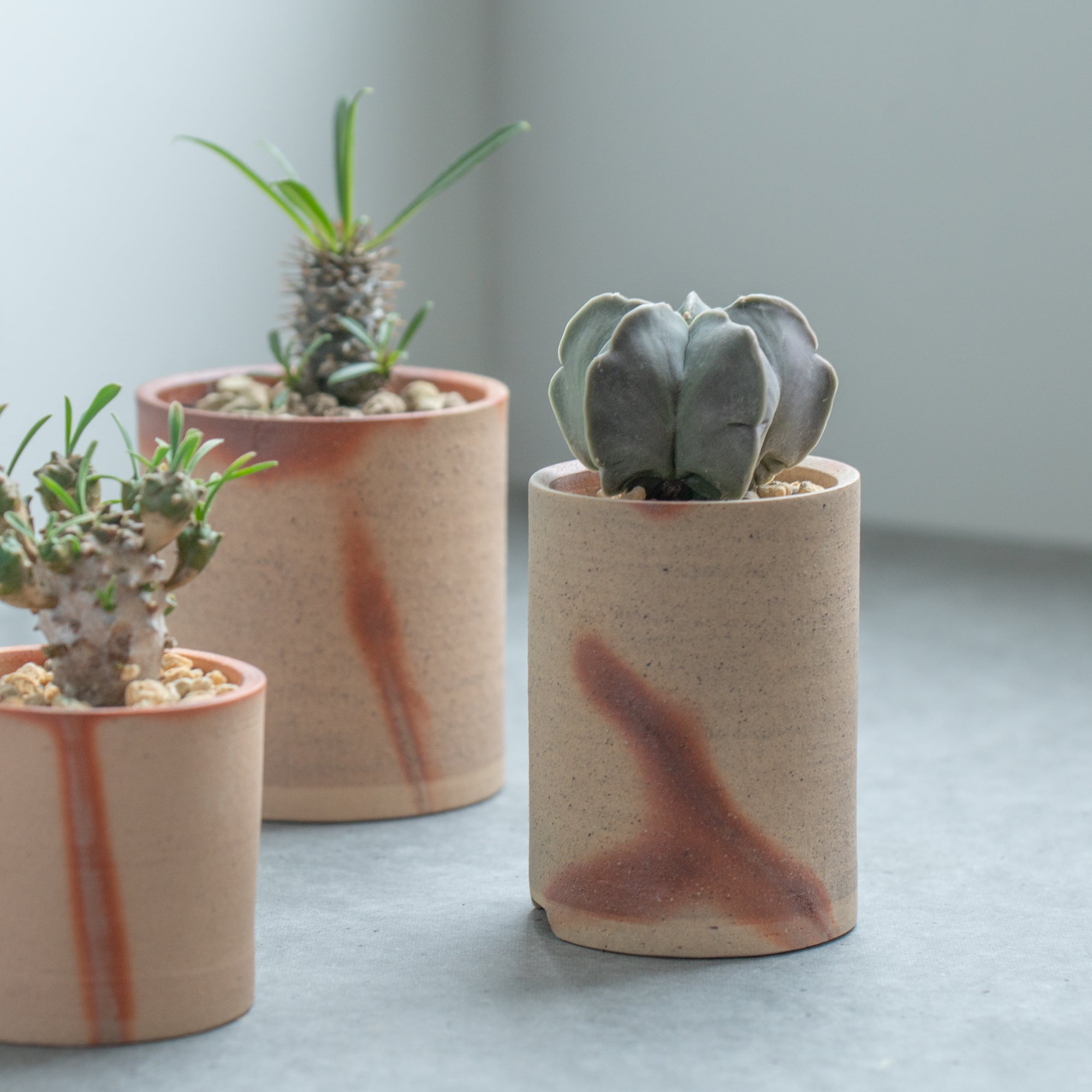 Hidasuki Slim Plant Pot 3 In