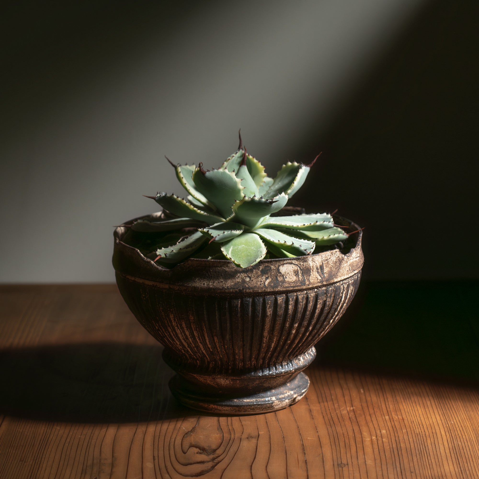 Plump Cracked Rim Speckled Wide Plant Pot 5.9 In