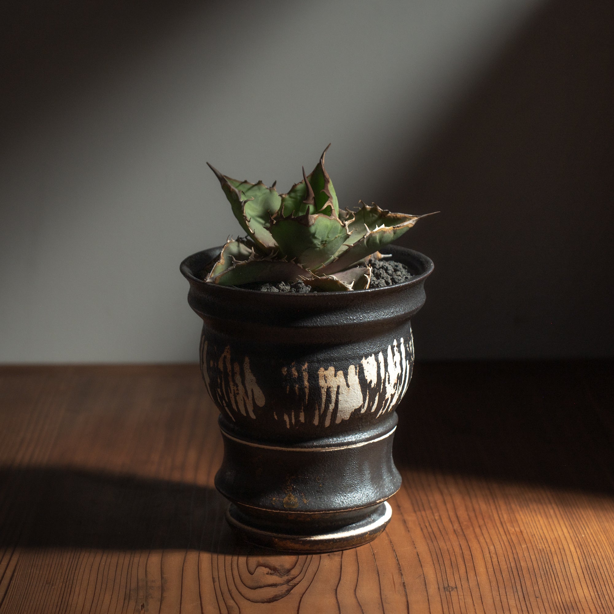 Torch White Inlay on Black Plant Pot 4.7 In