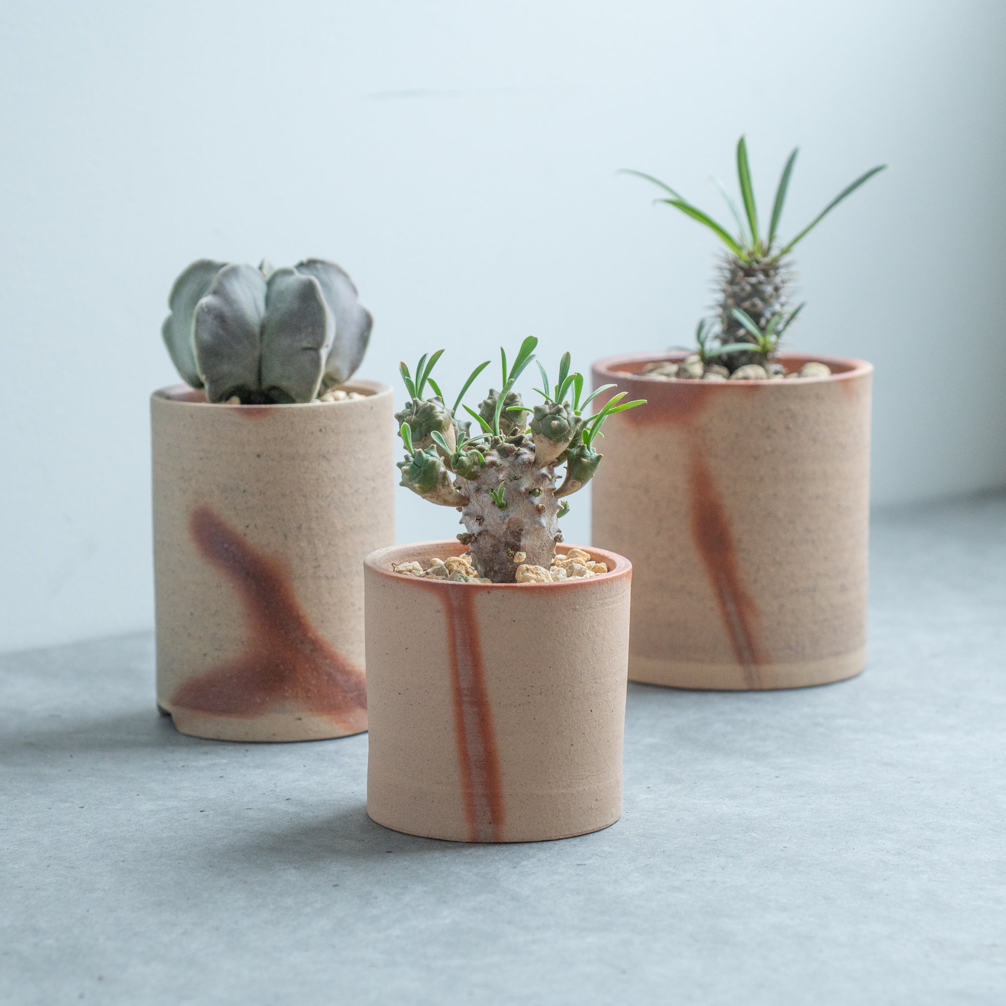 Hidasuki Short Plant Pot 3 In