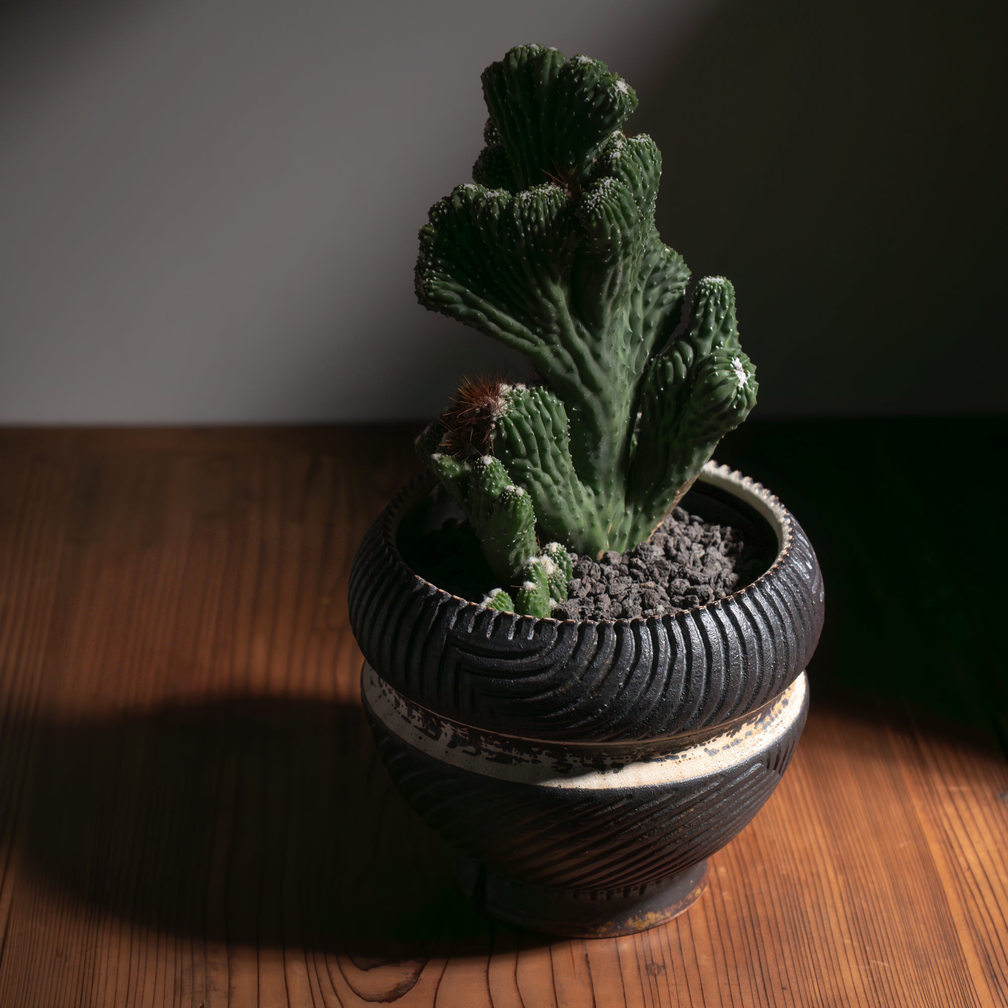 Equator White Inlay on Black Plant Pot 5.9 In