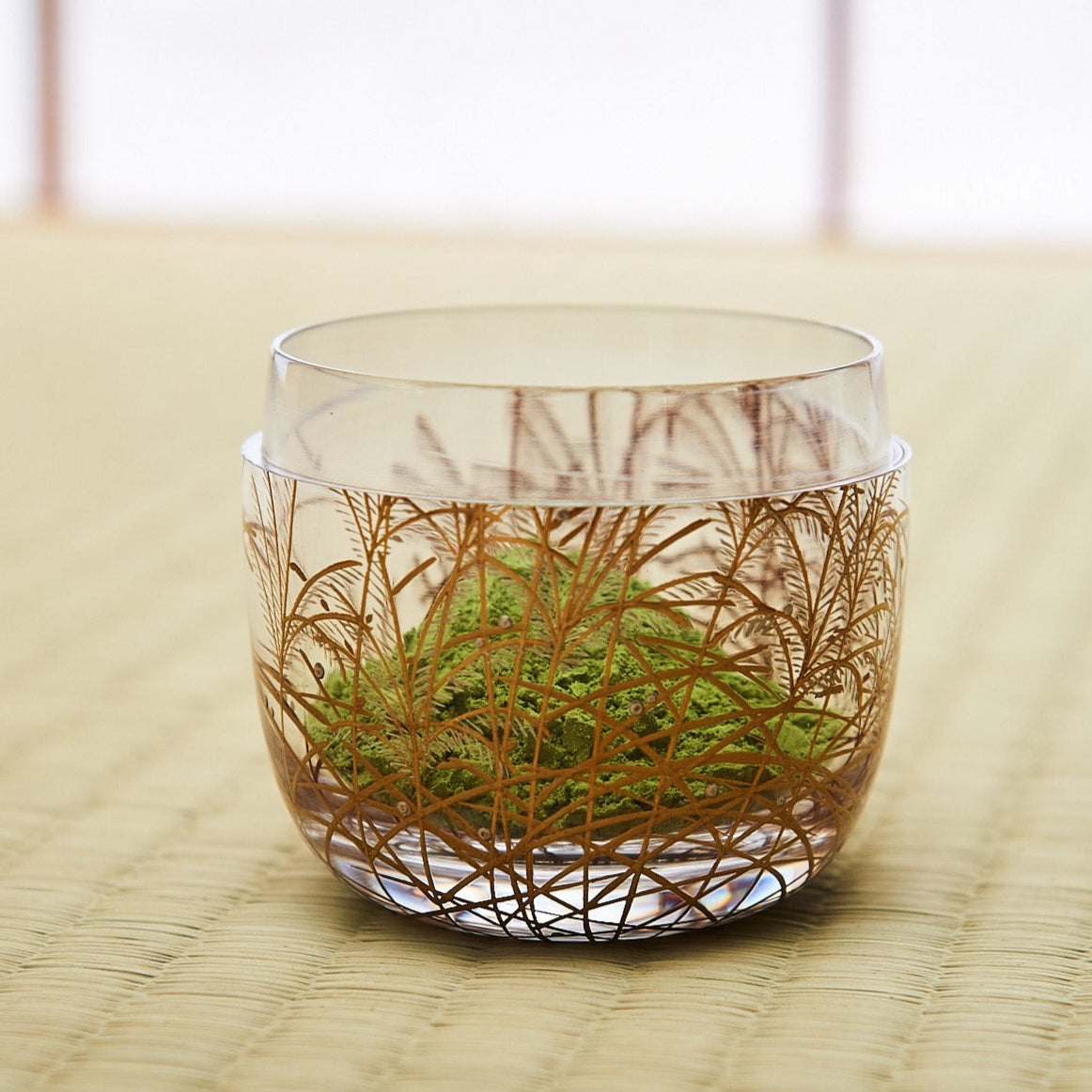 Silver Grass Under the Moon Natsume Matcha Container