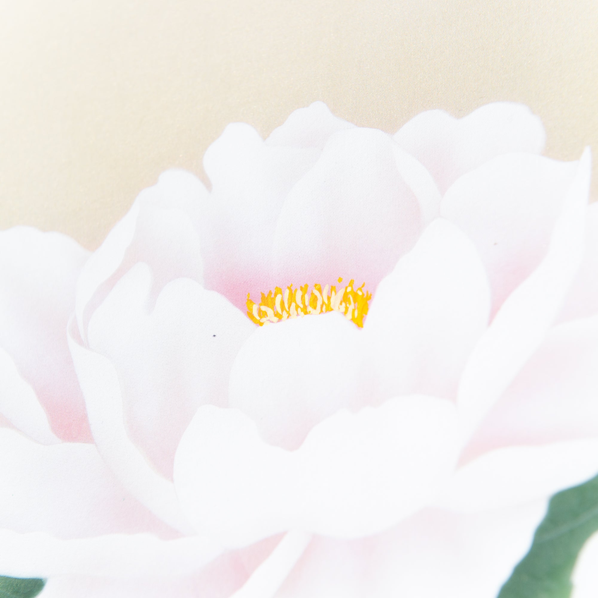 White Peonies Kakejiku Hanging Scroll