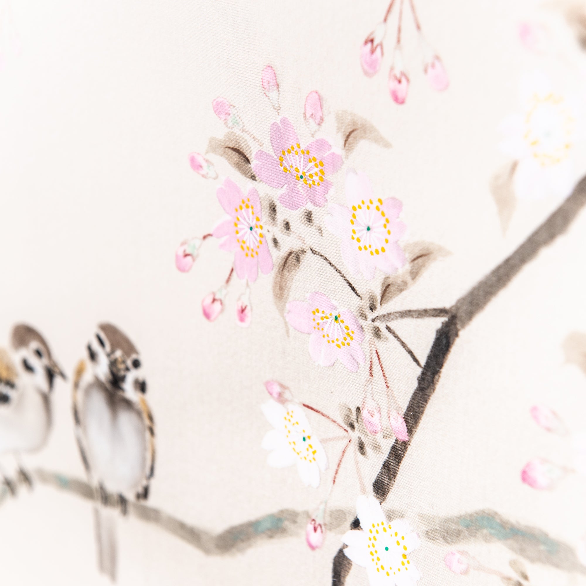 Cherry Blossoms and Sparrows Kakejiku Hanging Scroll