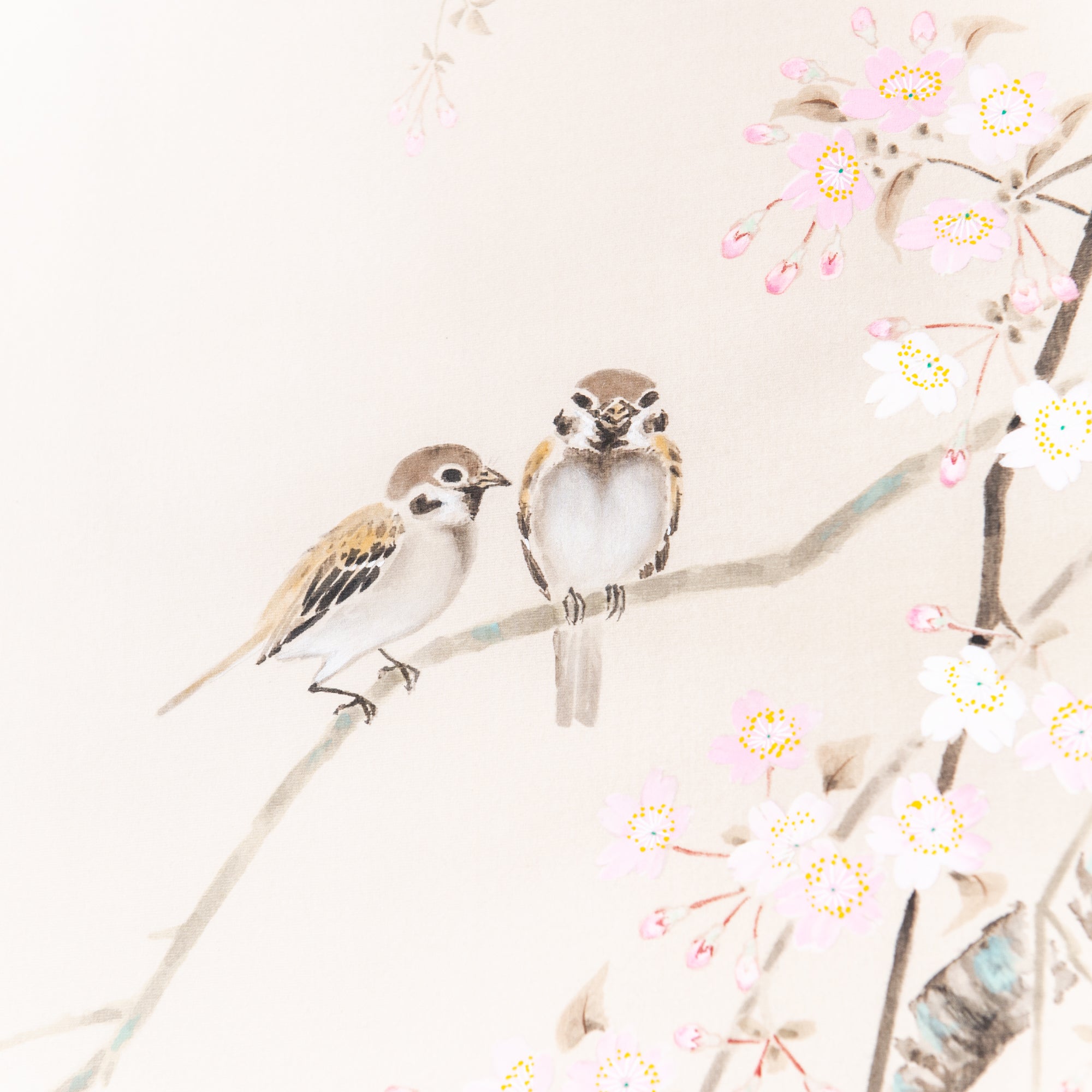 Cherry Blossoms and Sparrows Kakejiku Hanging Scroll