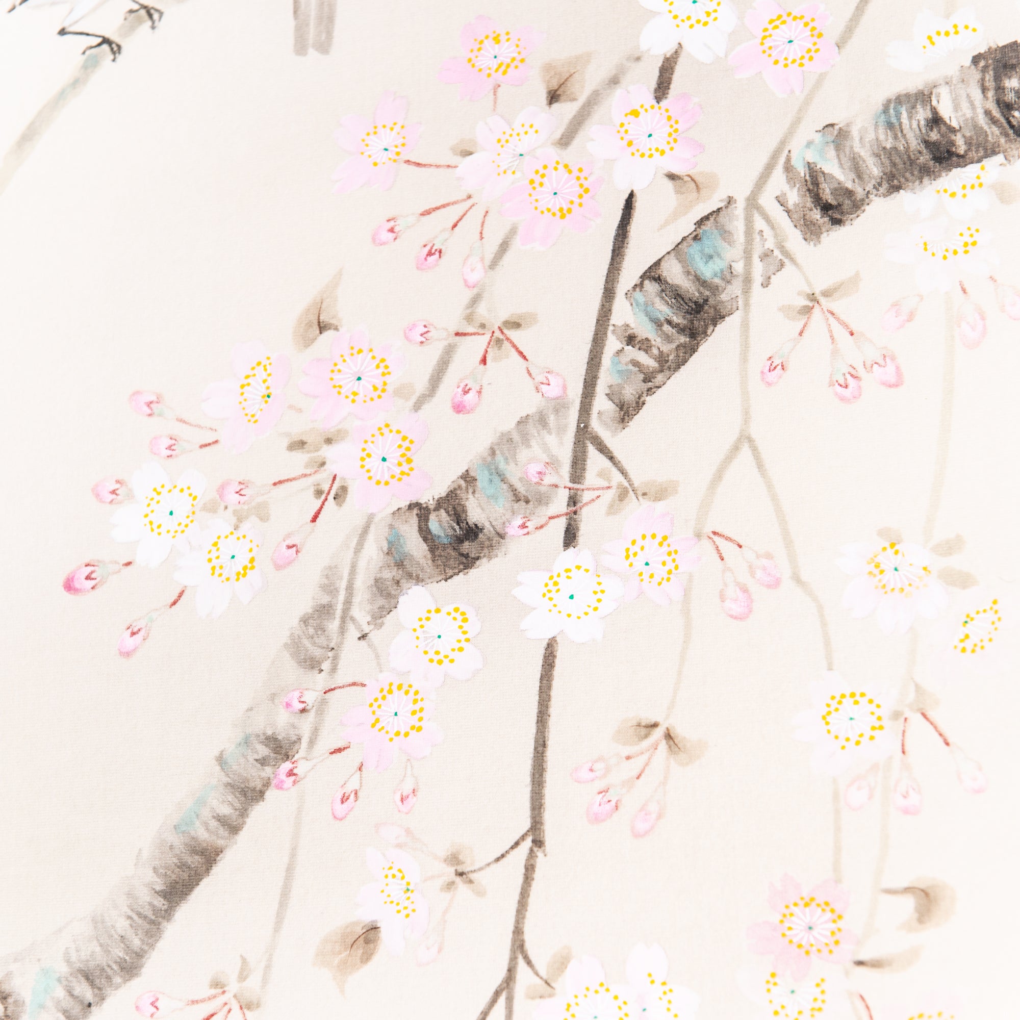Cherry Blossoms and Sparrows Kakejiku Hanging Scroll