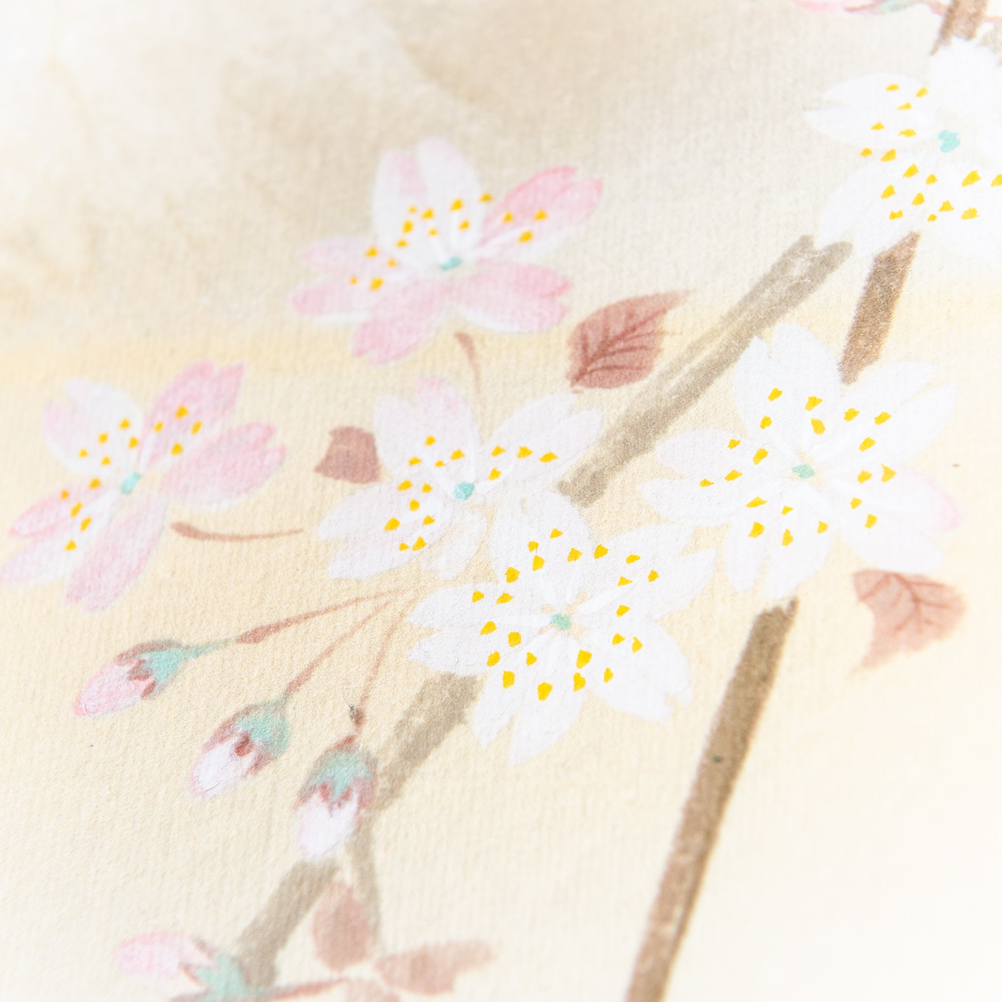 Cherry Blossoms at Mount Fuji Kakejiku Hanging Scroll