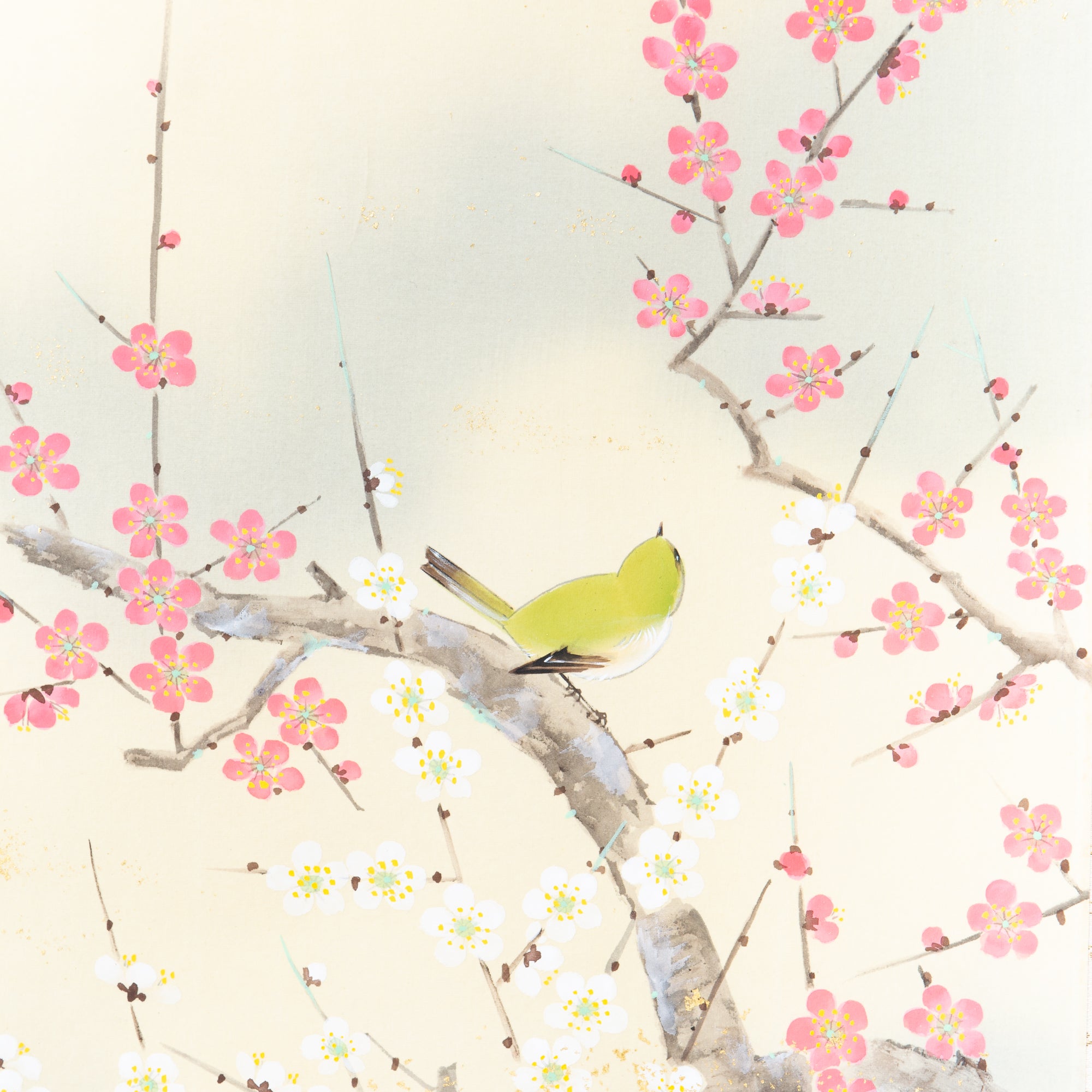 Warbler Among Plum Blossoms Kakejiku Hanging Scroll