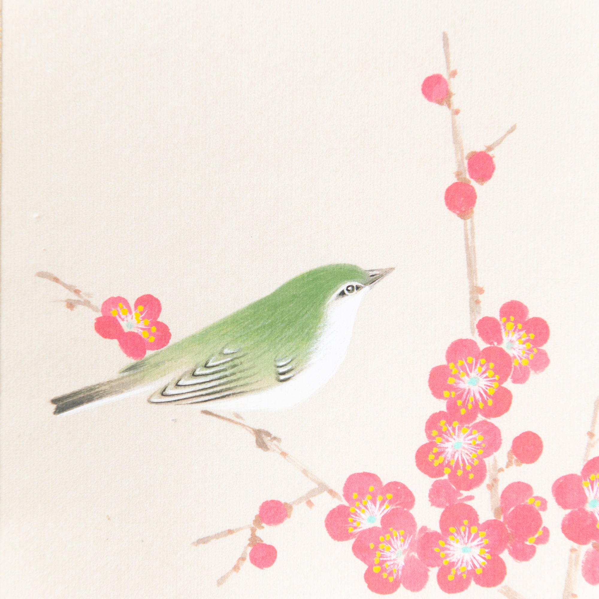 Red Plum Blossoms with Warbler Kakejiku Hanging Scroll