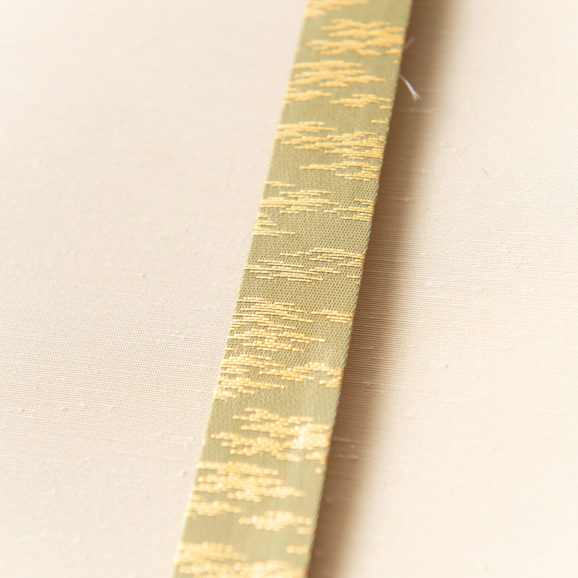 Cat and Butterfly Kakejiku Hanging Scroll