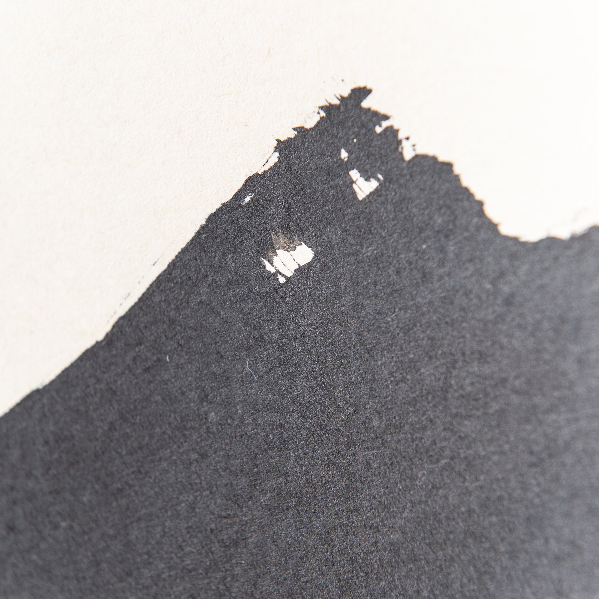 Ichigo Ichie Kakejiku Hanging Scroll