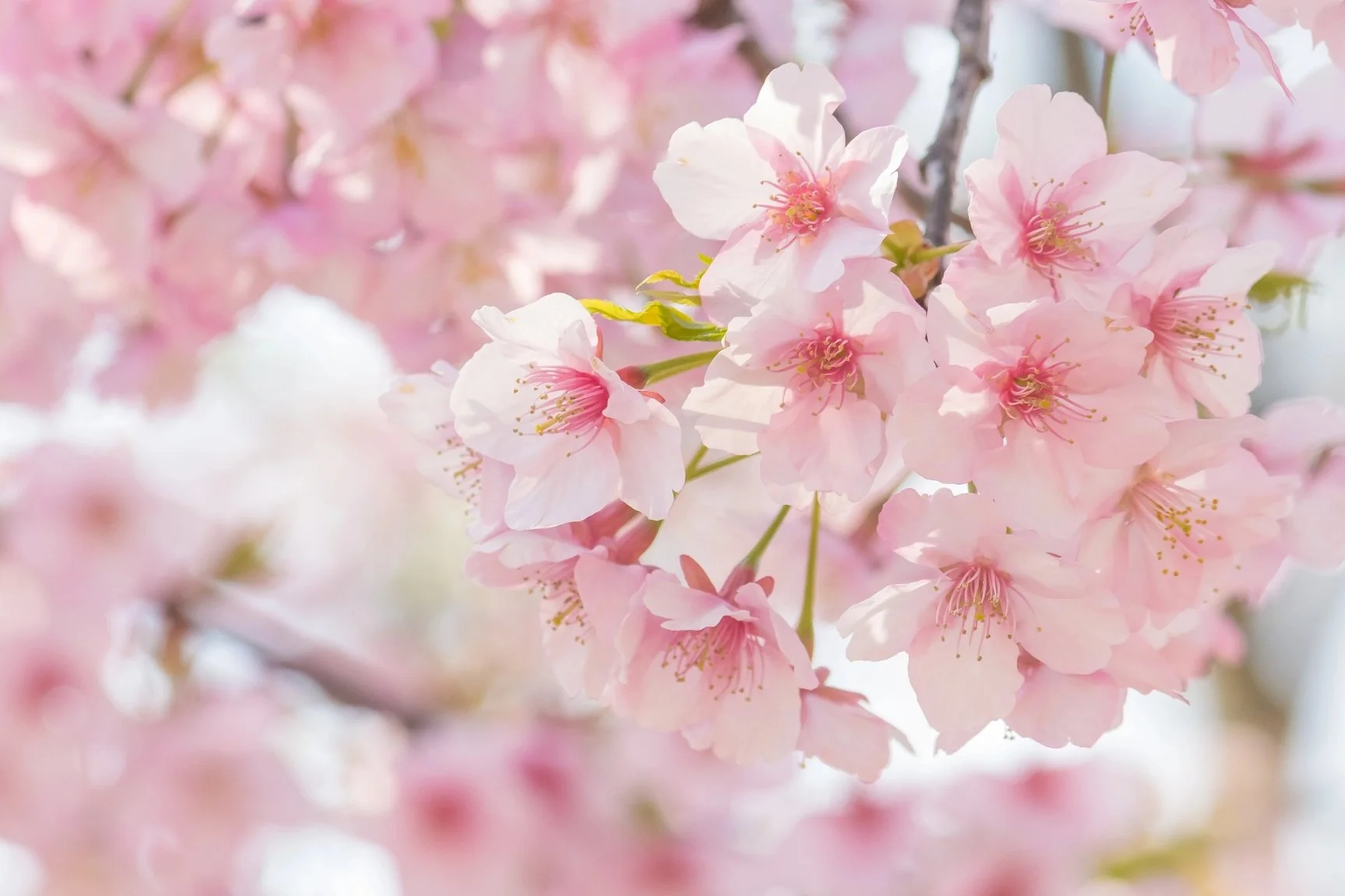 adobestock_254209333--edited-1656635848466.png__PID:2173987c-891f-448e-8ce7-e0e8ac6fc85f
