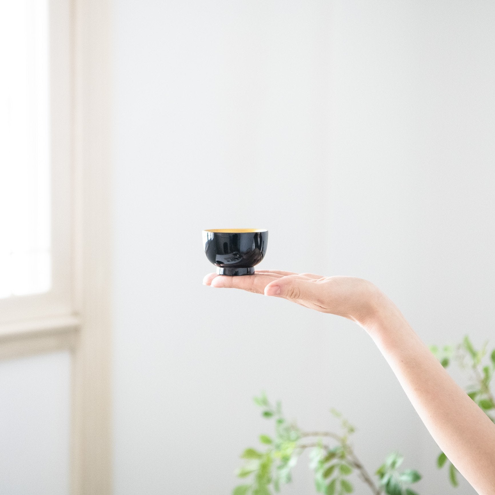 Fukunishi Sobe Black and Gold Aizu Lacquerware Guinomi Sake Cup - MUSUBI KILN - Quality Japanese Tableware and Gift
