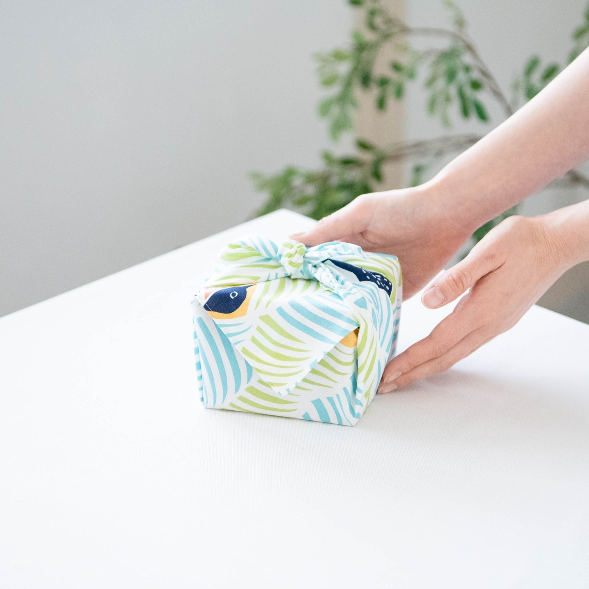 Green Cat and Birds Furoshiki Wrapping Cloth 17.7in - MUSUBI KILN - Quality Japanese Tableware and Gift