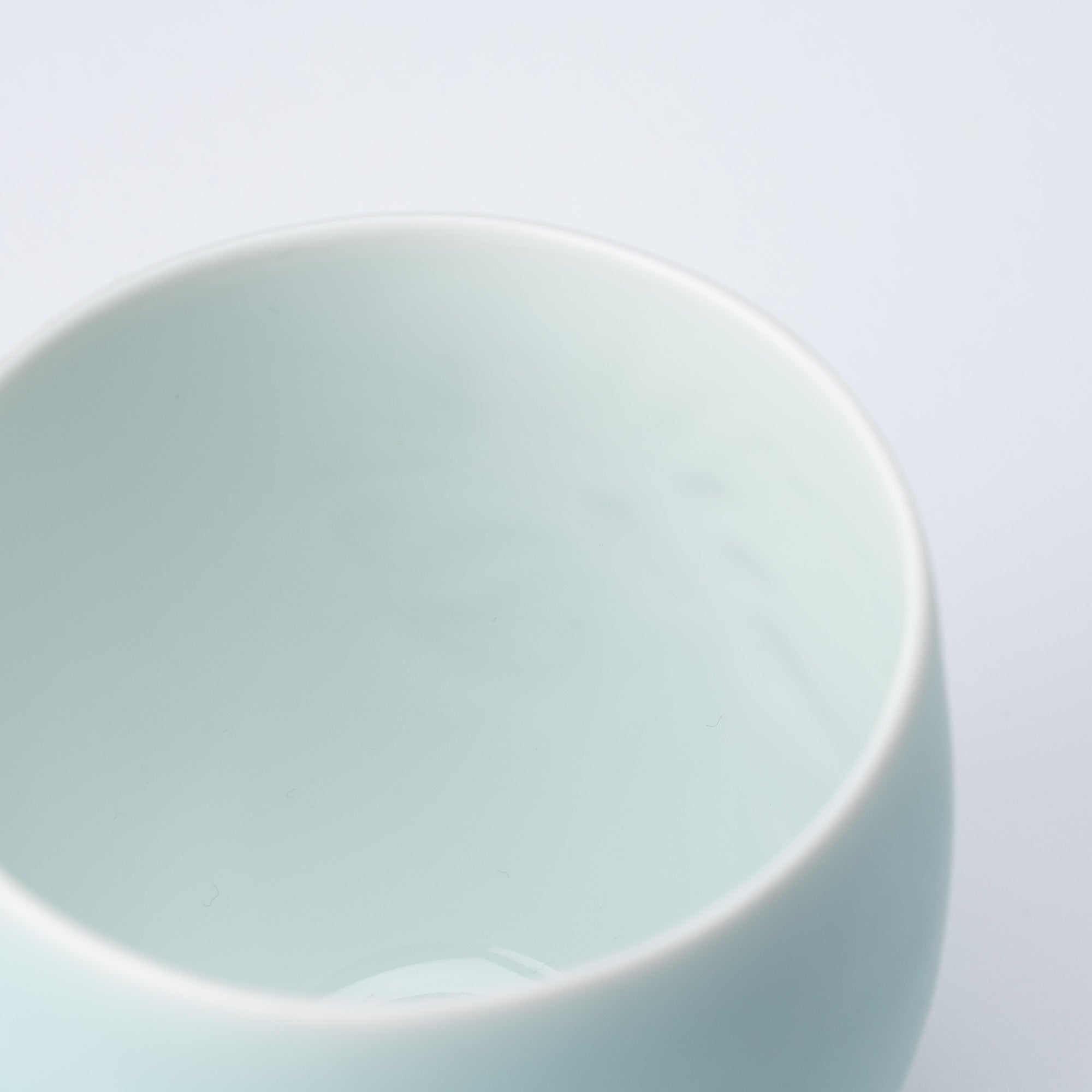 Hataman Touen Moist Orchid Cactus Imari Nabeshima Ware Cup - MUSUBI KILN - Quality Japanese Tableware and Gift