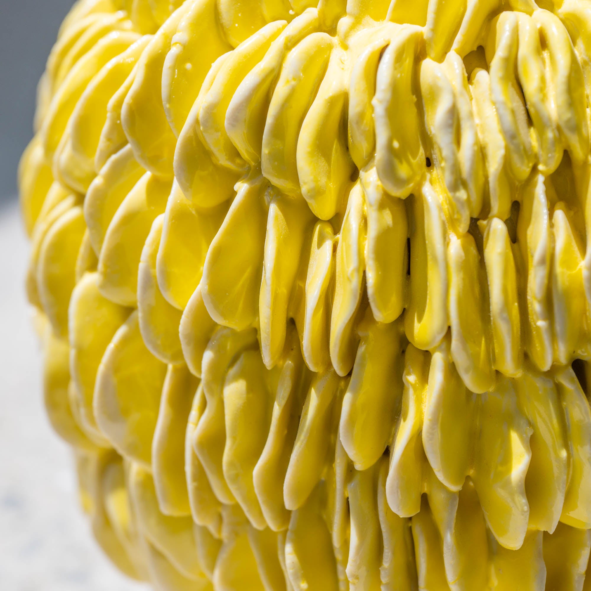 Botanical Textures Objet d'Art 18