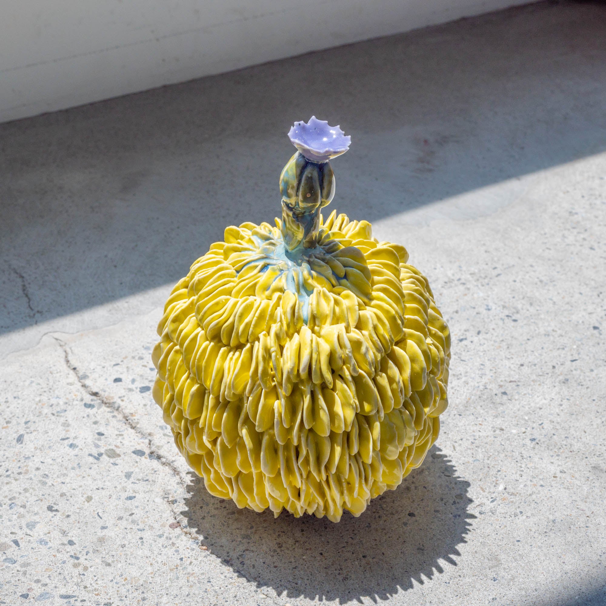 Botanical Textures Objet d'Art 18