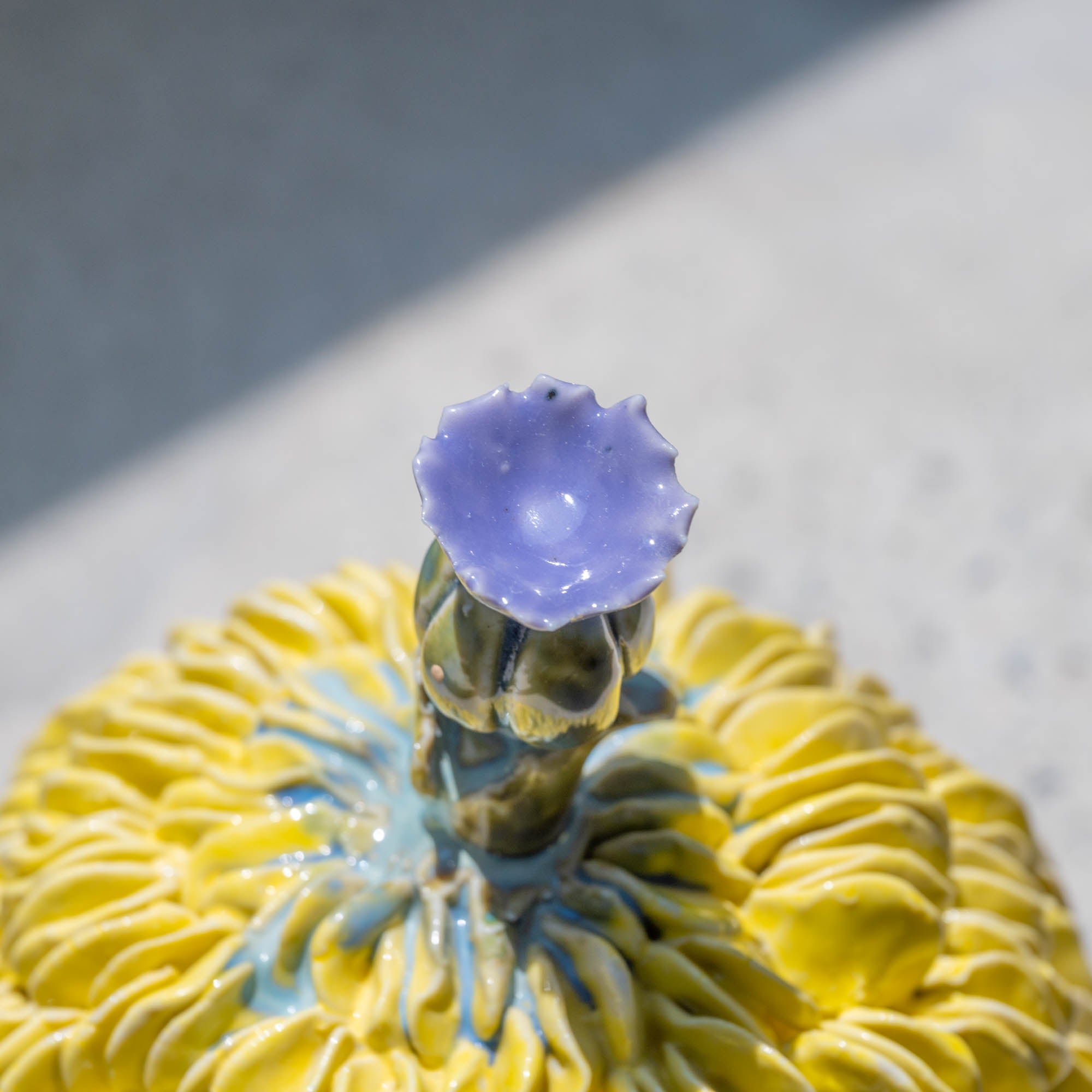 Botanical Textures Objet d'Art 18
