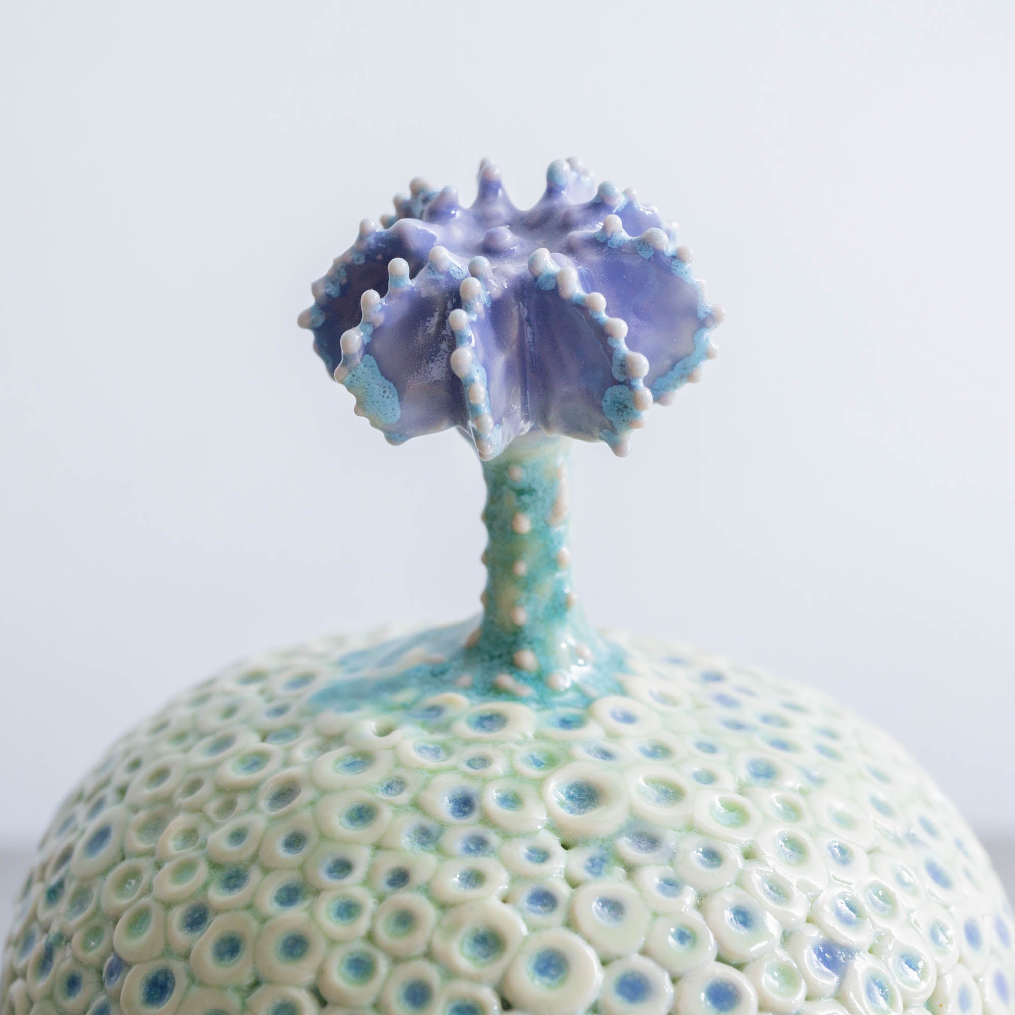 Botanical Textures Objet d'Art 14