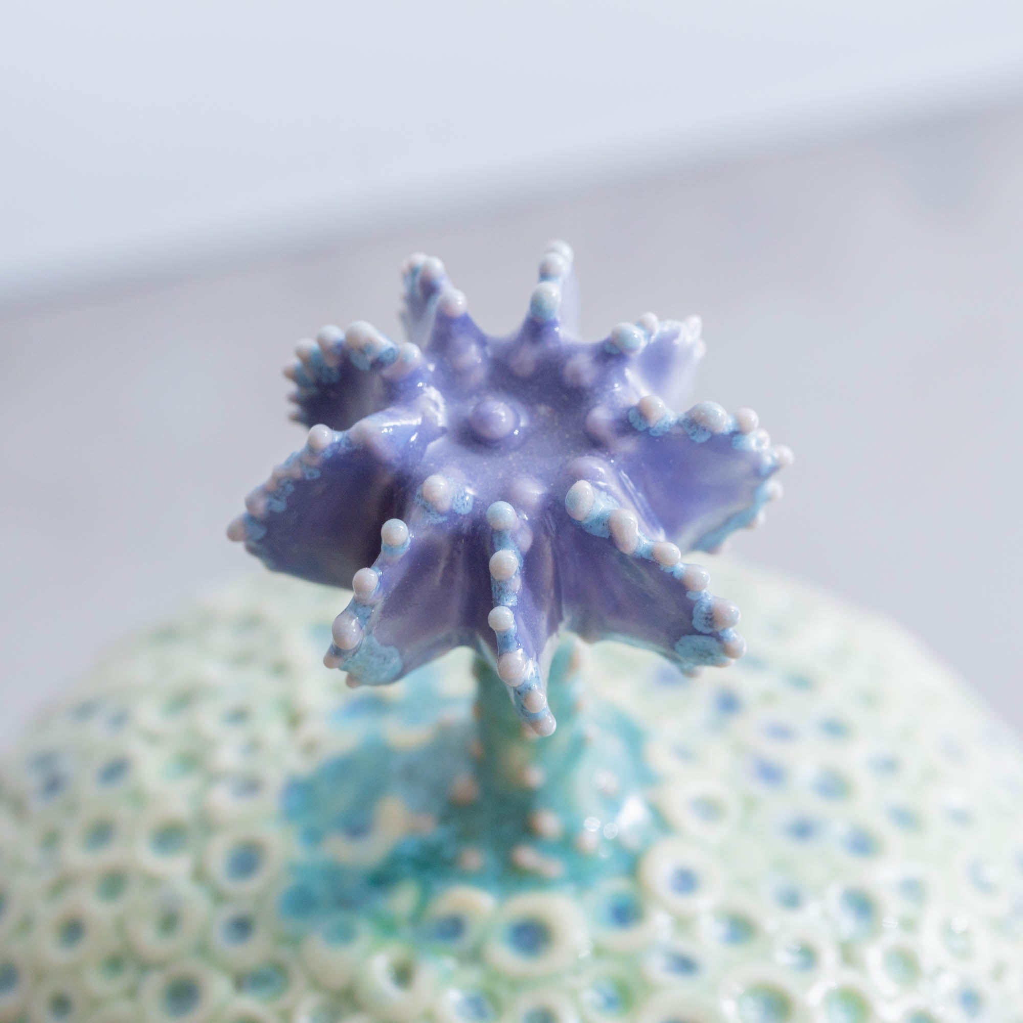 Botanical Textures Objet d'Art 14