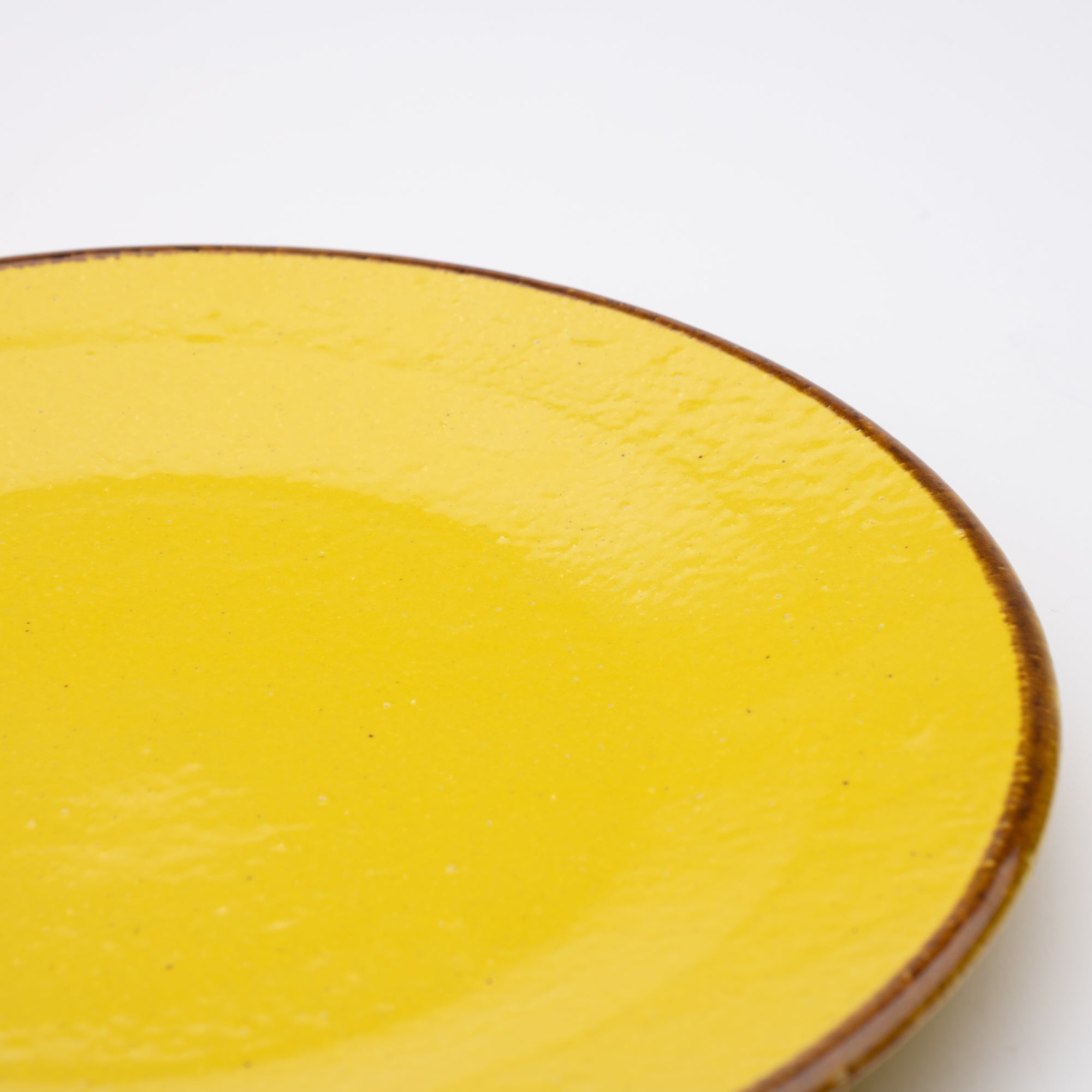 MERU Flamenco Modern Mino Ware Plate 9.8in - MUSUBI KILN - Quality Japanese Tableware and Gift