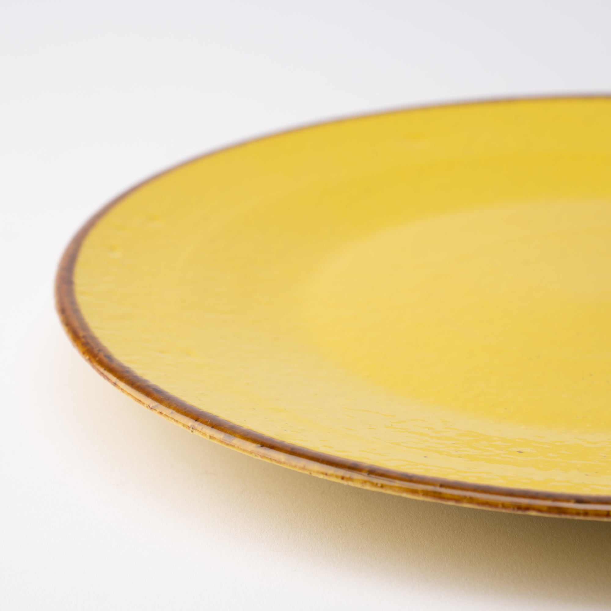 MERU Flamenco Modern Mino Ware Plate 9.8in - MUSUBI KILN - Quality Japanese Tableware and Gift